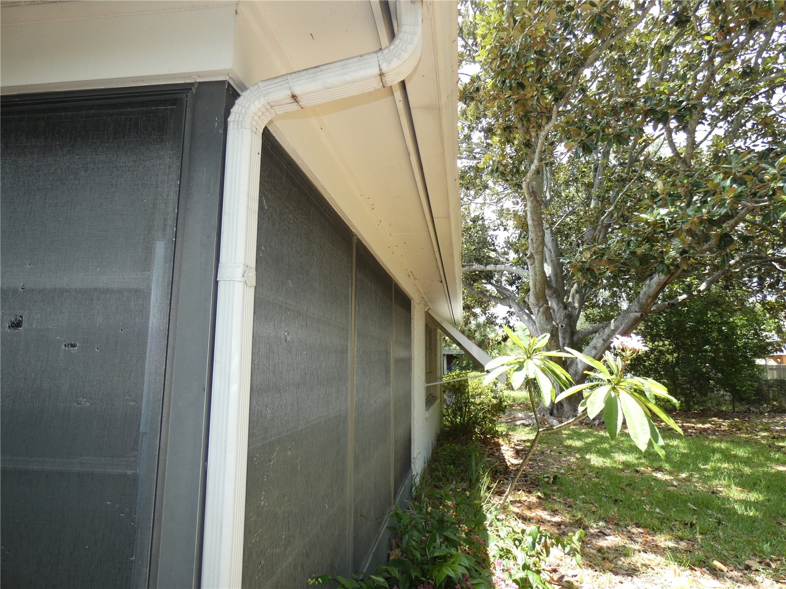 5248 Ironwood Lane New Port Richey FL 34653 W7887315 image13