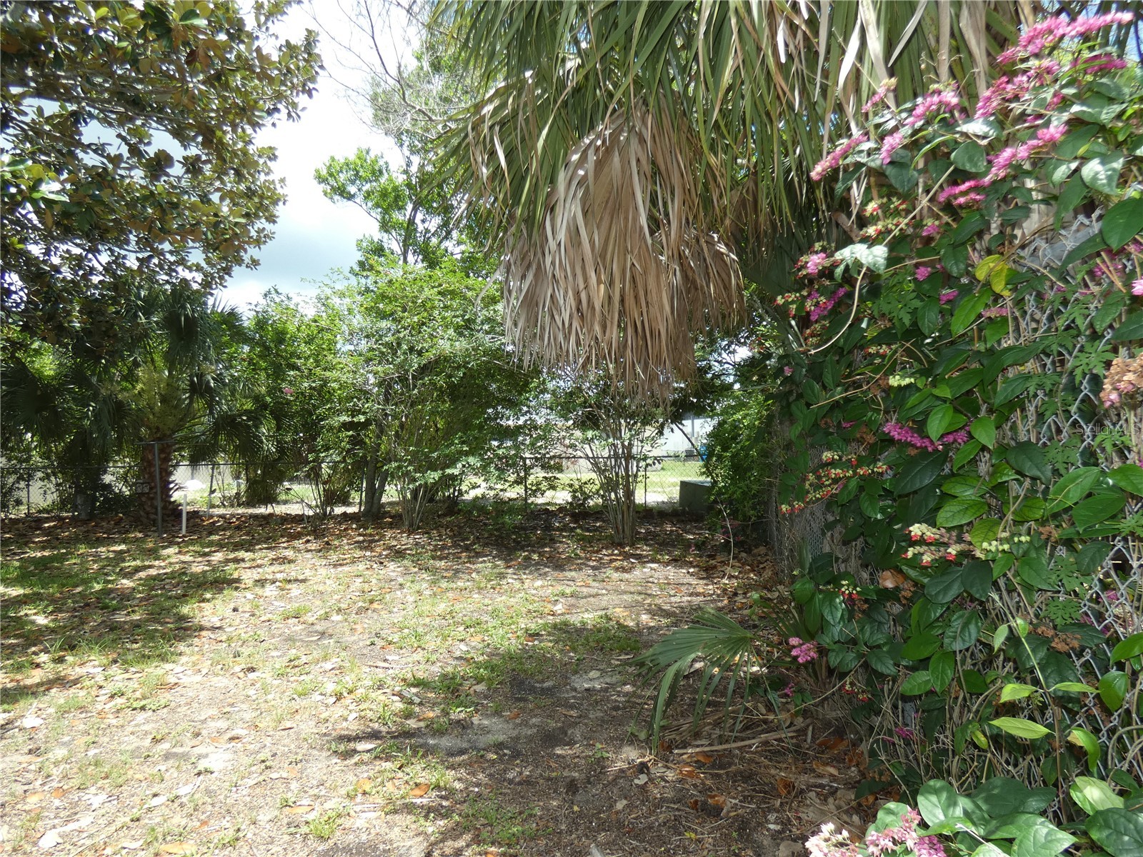 5248 Ironwood Lane New Port Richey FL 34653 W7887315 image15