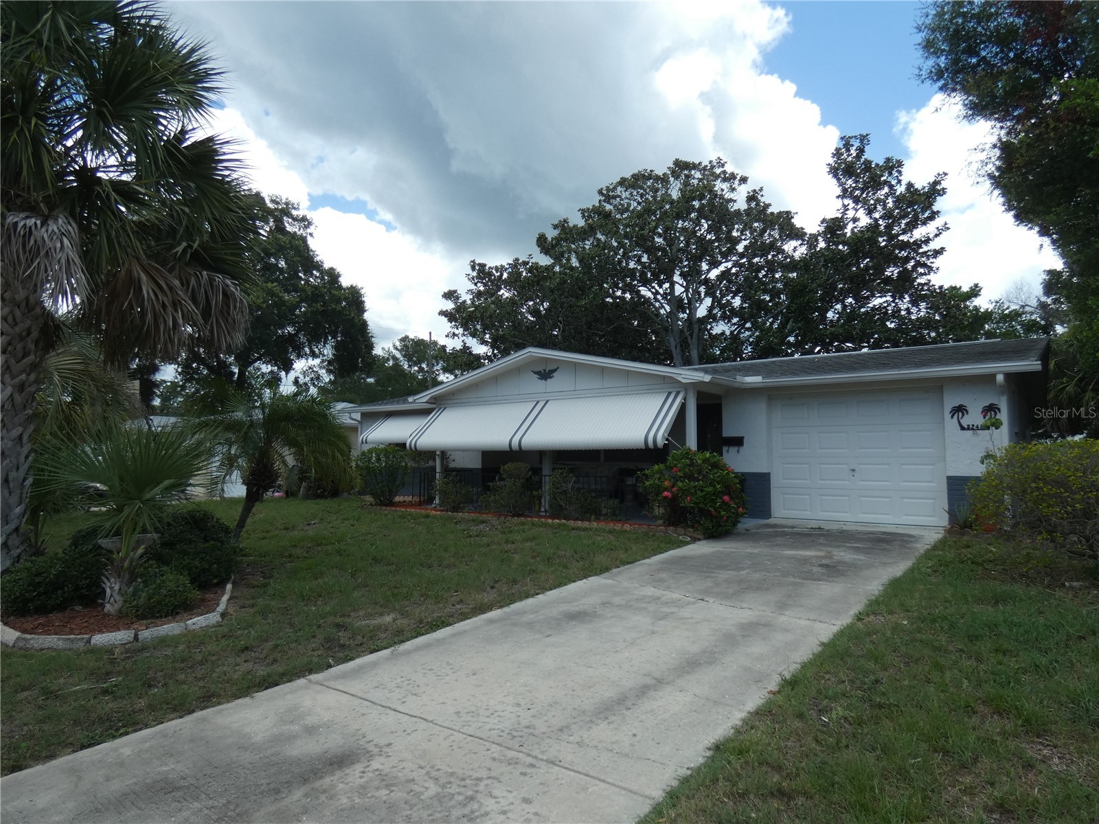 5248 Ironwood Lane New Port Richey FL 34653 W7887315 image2