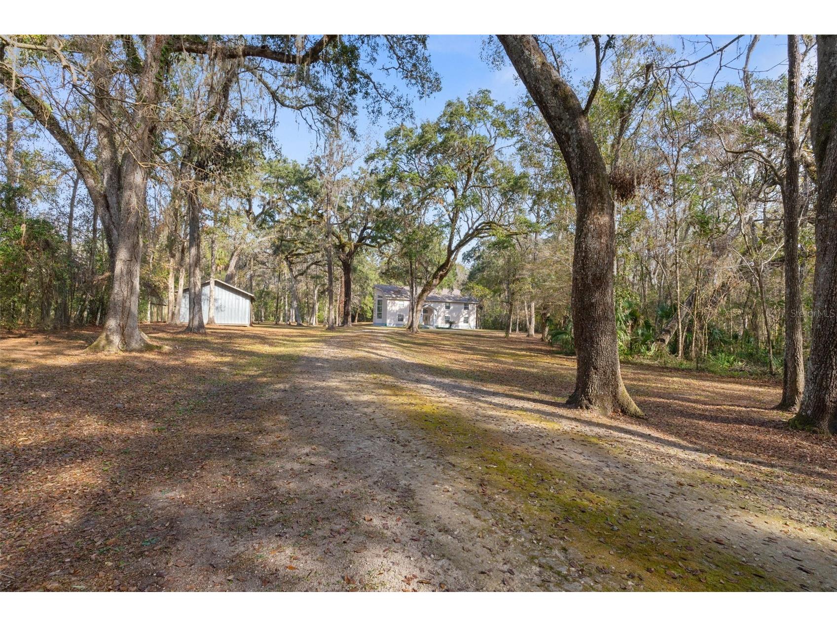5248 Neff Lake Road Brooksville FL 34601 W7881737 image18