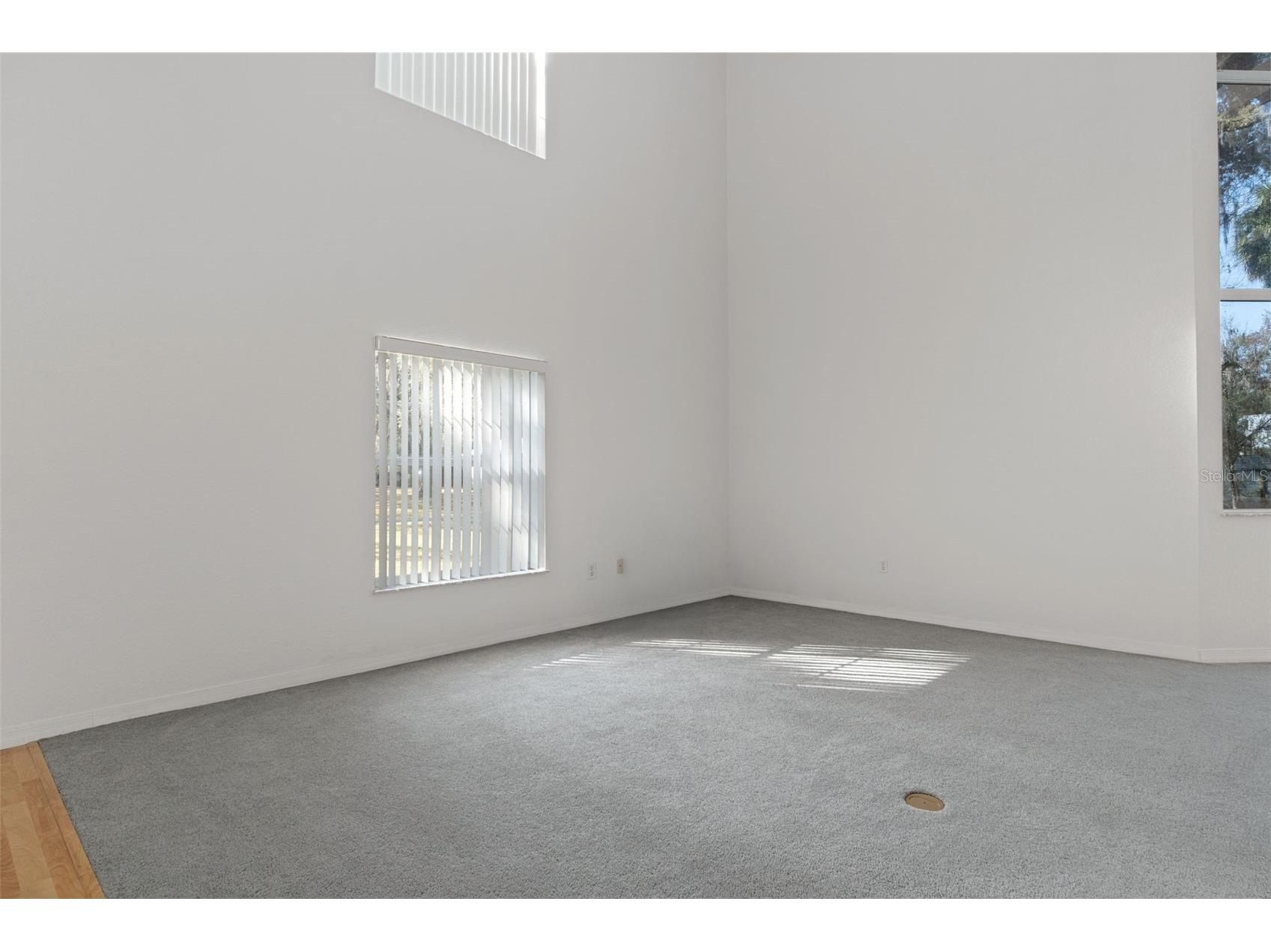 5248 Neff Lake Road Brooksville FL 34601 W7881737 image28