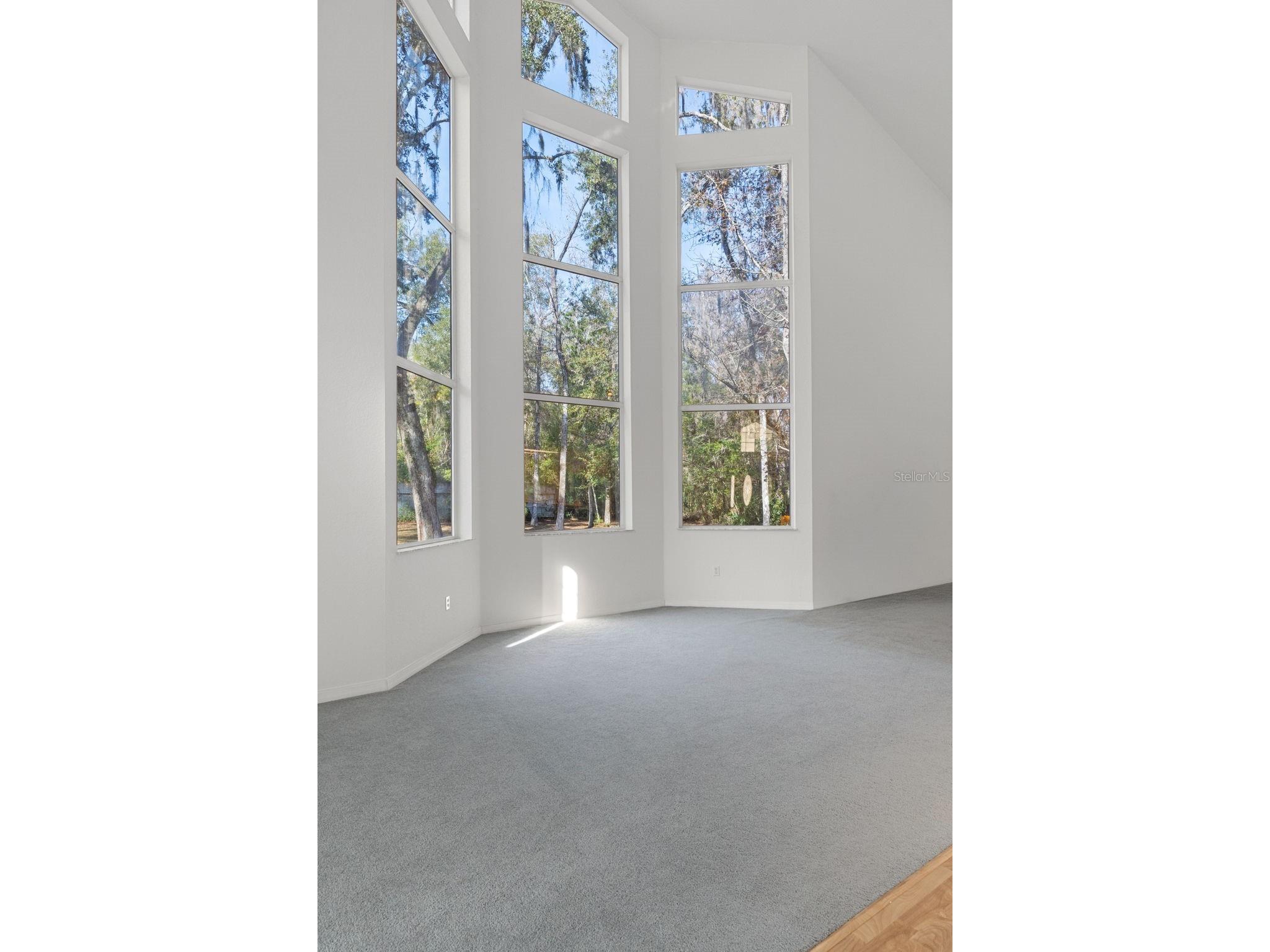 5248 Neff Lake Road Brooksville FL 34601 W7881737 image29