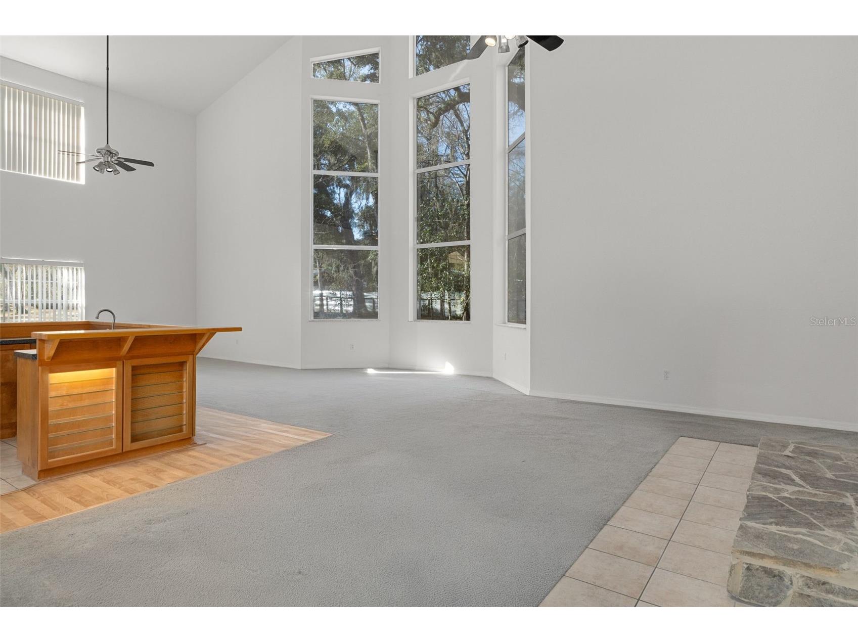 5248 Neff Lake Road Brooksville FL 34601 W7881737 image37