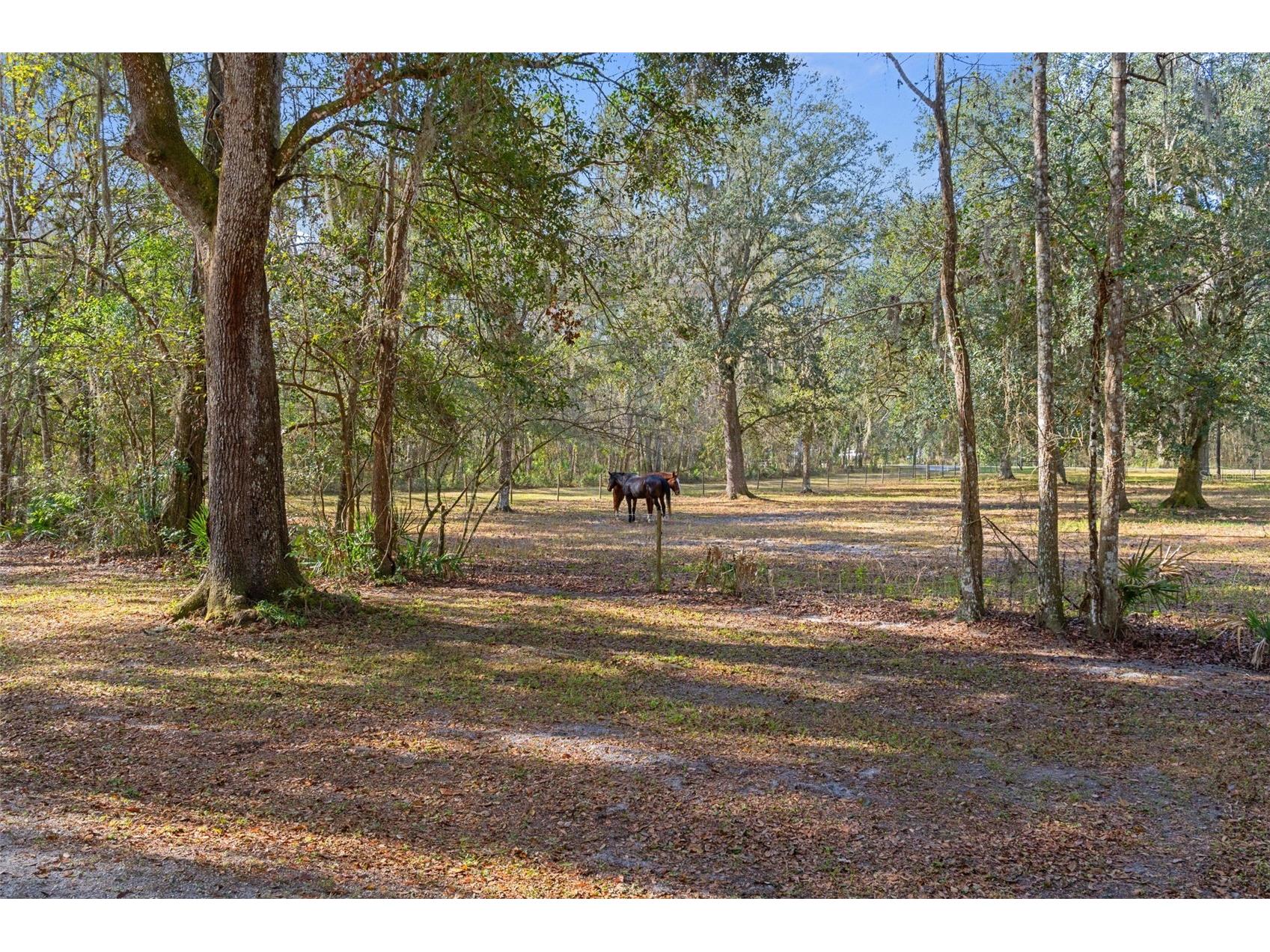 5248 Neff Lake Road Brooksville FL 34601 W7881737 image87