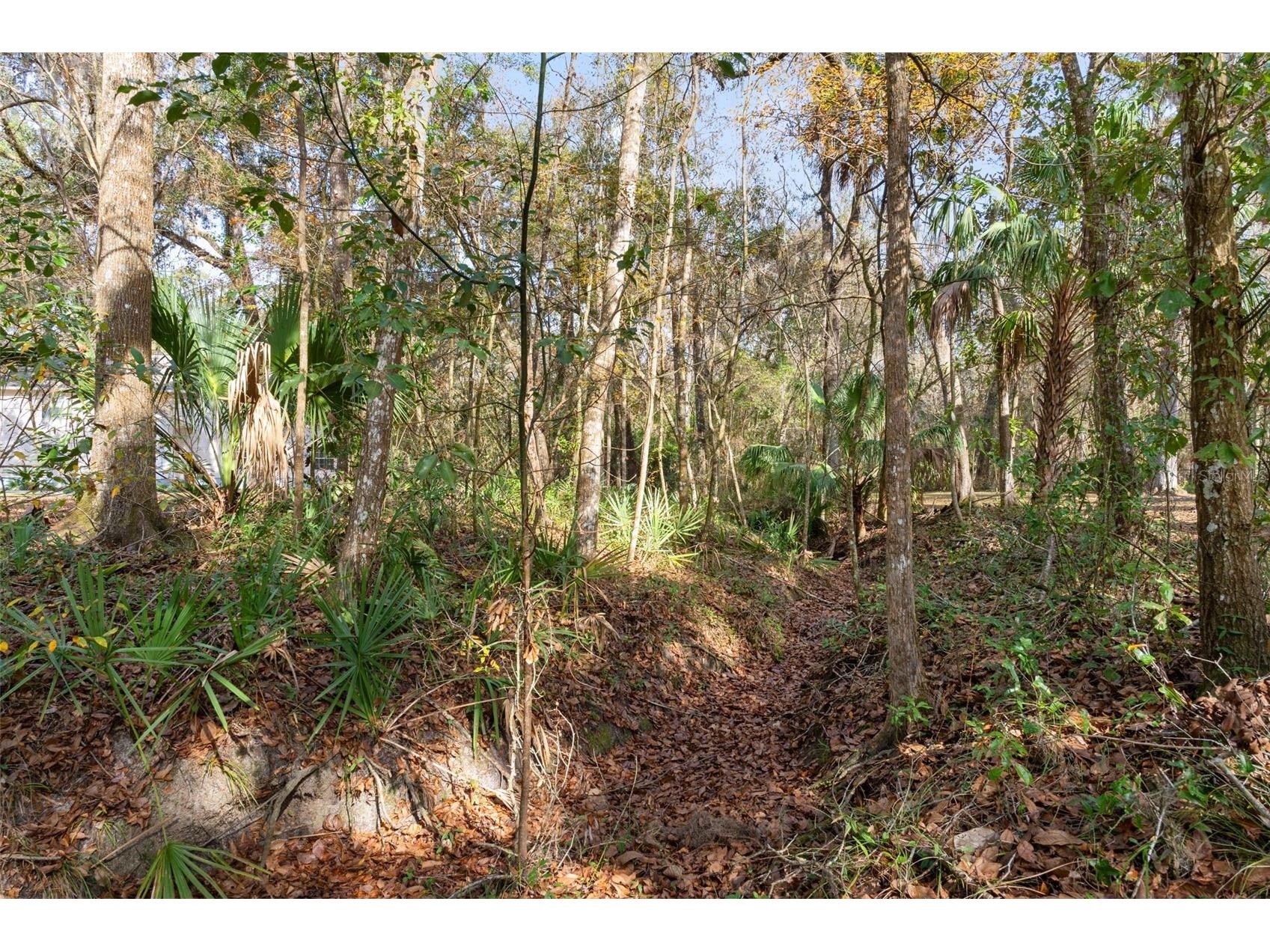 5248 Neff Lake Road Brooksville FL 34601 W7881737 image88