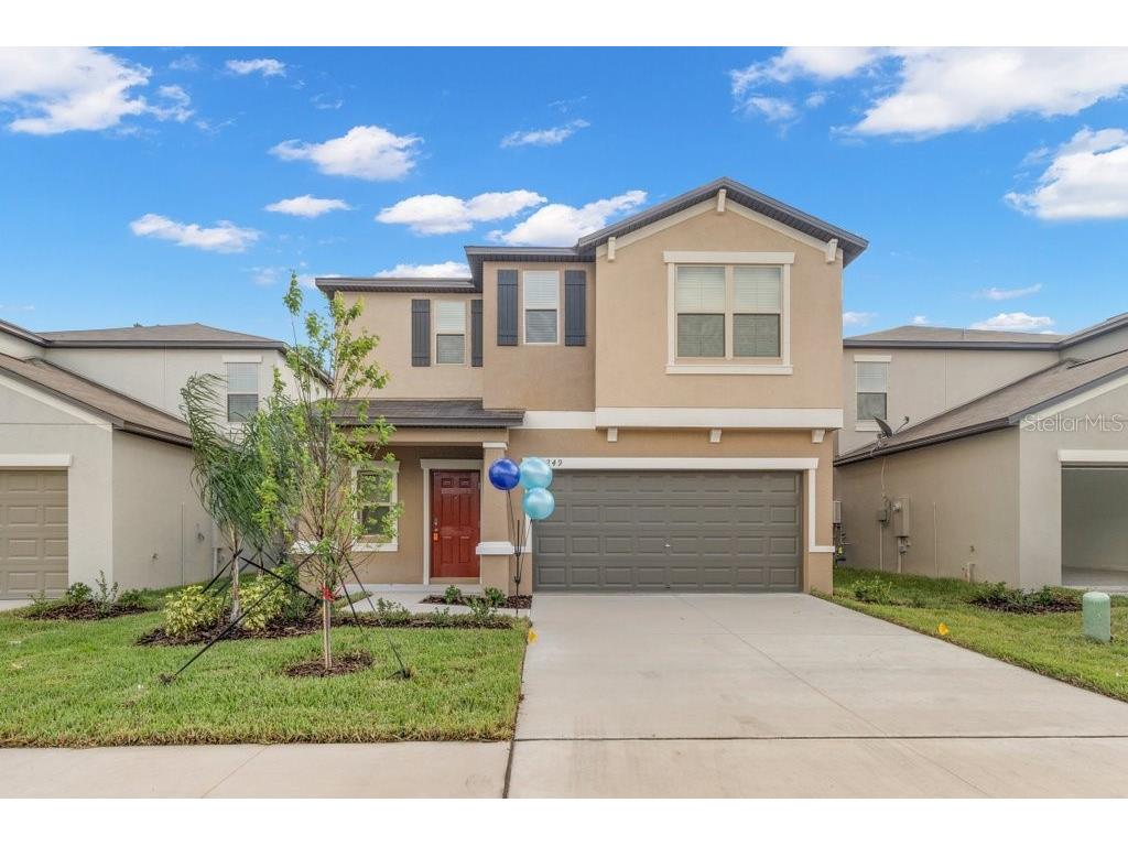 5249 White Chicory Drive Apollo Beach FL 33572 T3495964 image1