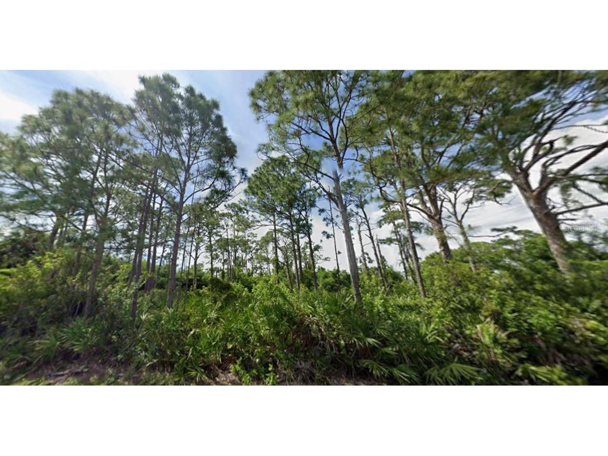 5249 Wynn Terrace Port Charlotte FL 33981 D6144943 image4