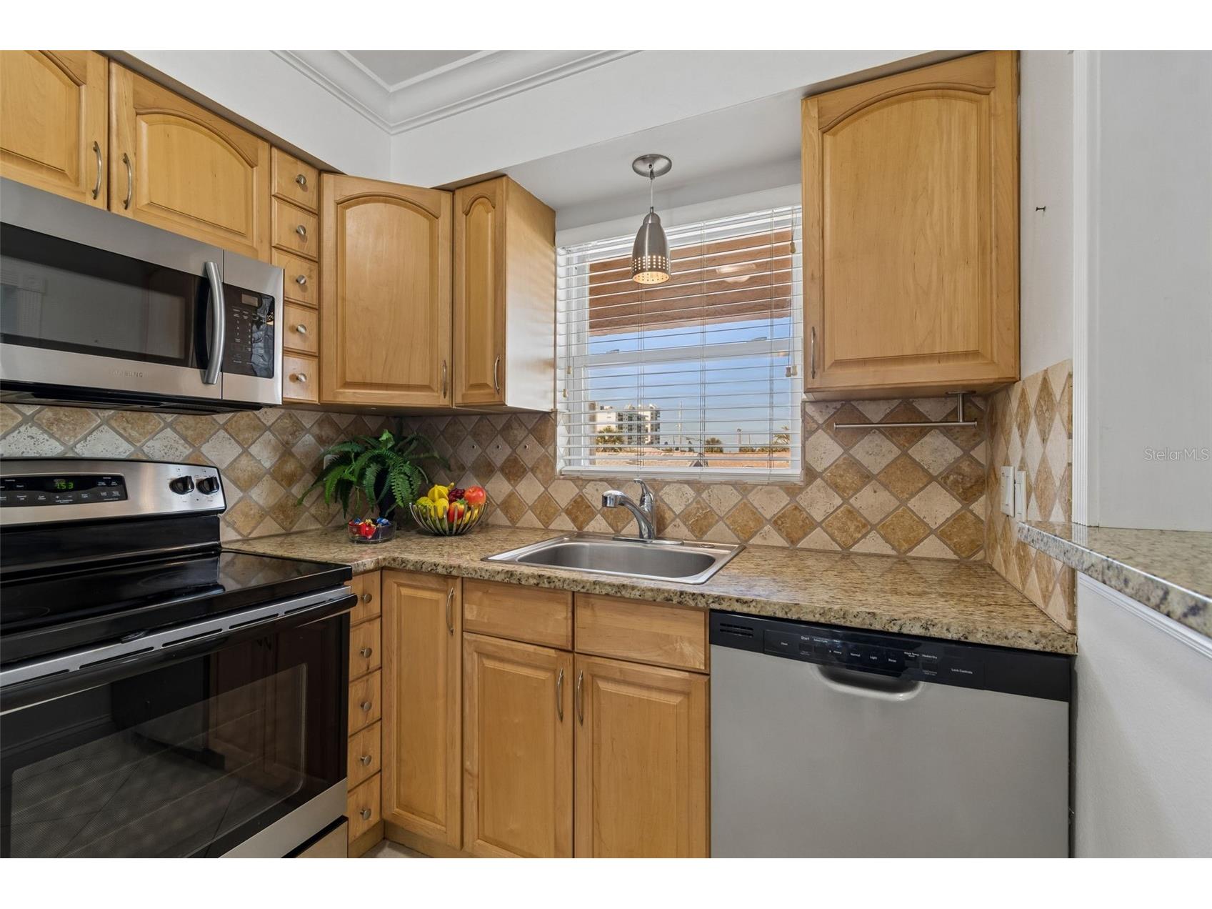 525 73rd Ave #5 Saint Pete Beach FL 33706 TB8496301 image17