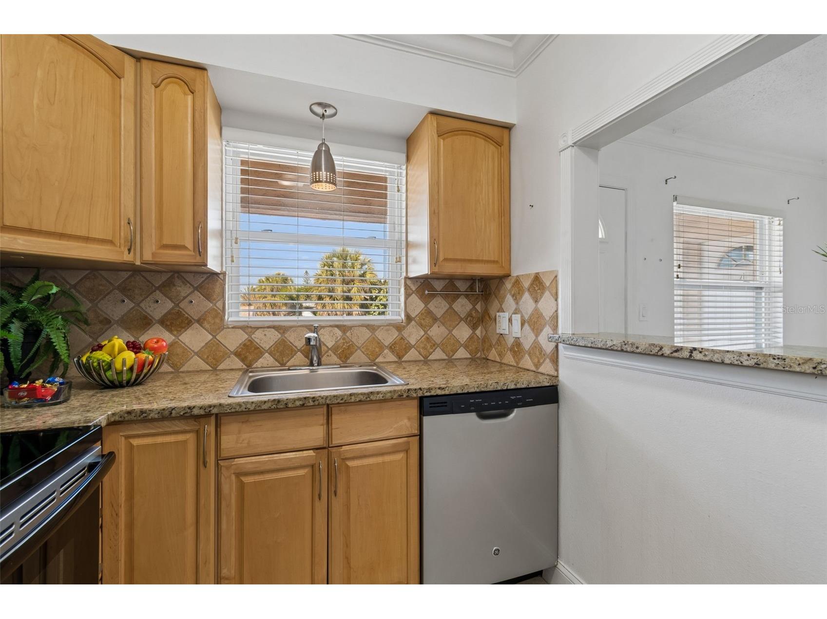 525 73rd Ave #5 Saint Pete Beach FL 33706 TB8496301 image19