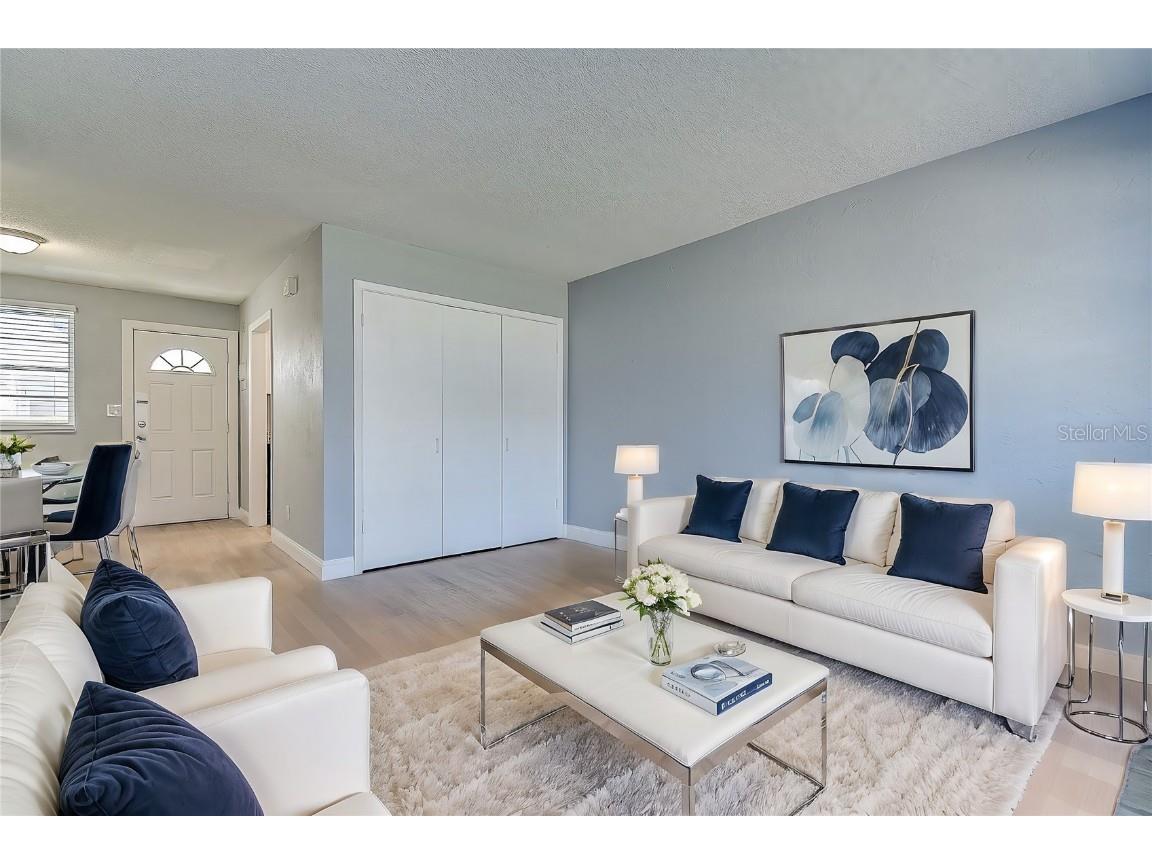 525 9th Avenue N #2 Saint Petersburg FL 33701 TB8368442 image19