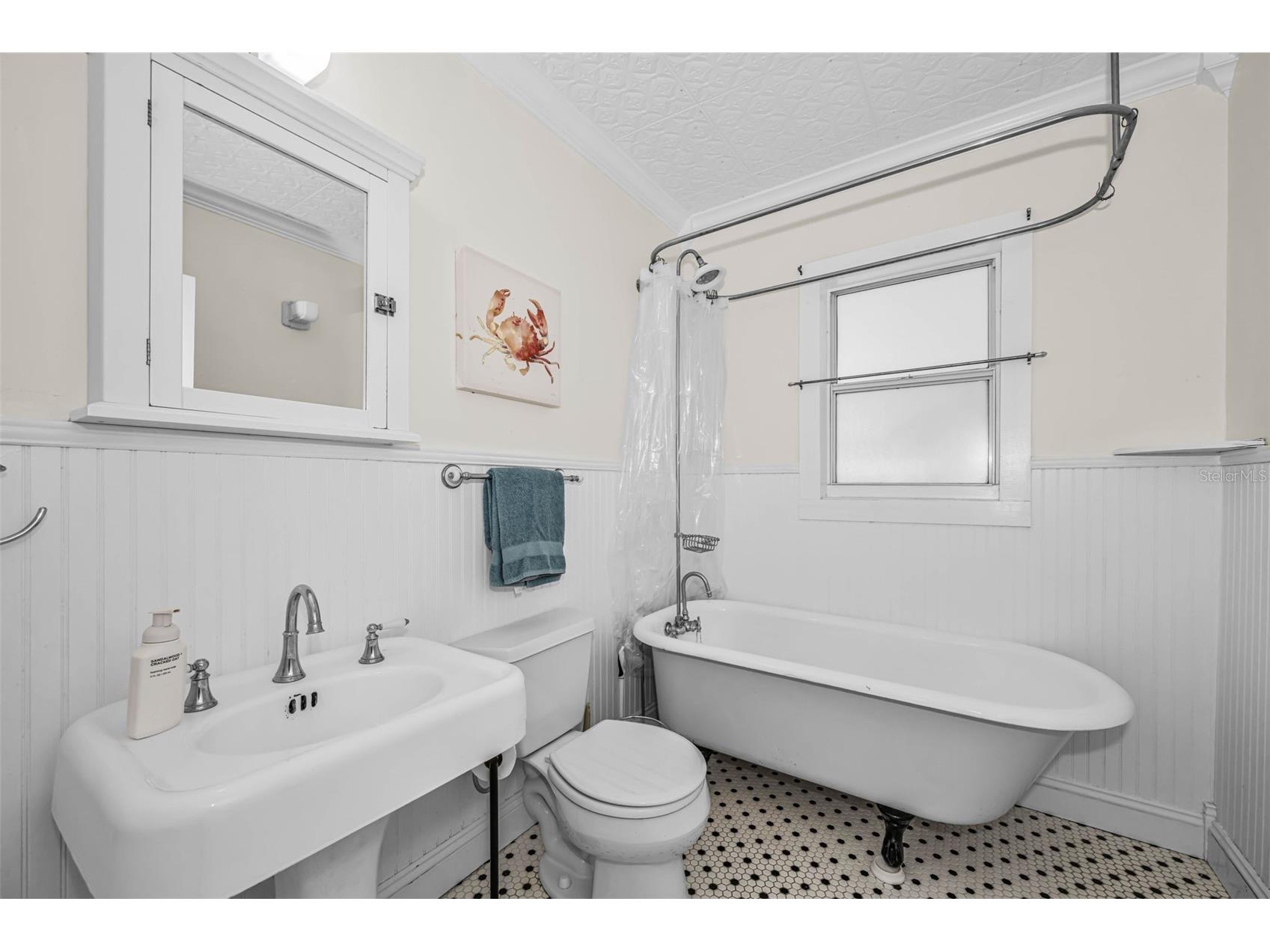 525 Bay Street Dunedin FL 34698 TB8492695 image21
