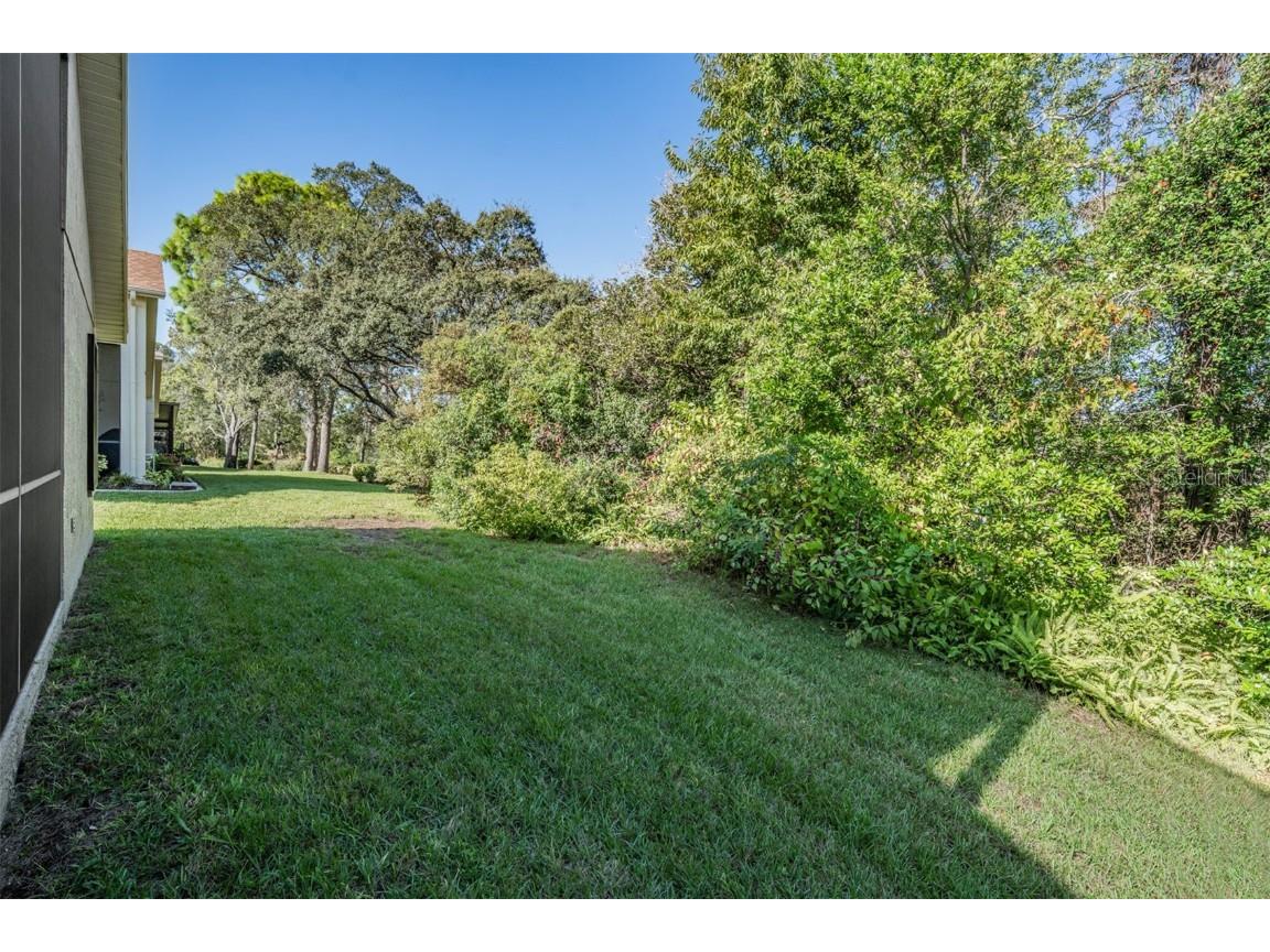 525 Bent Oak Court Spring Hill FL 34609 TB8440840 image20