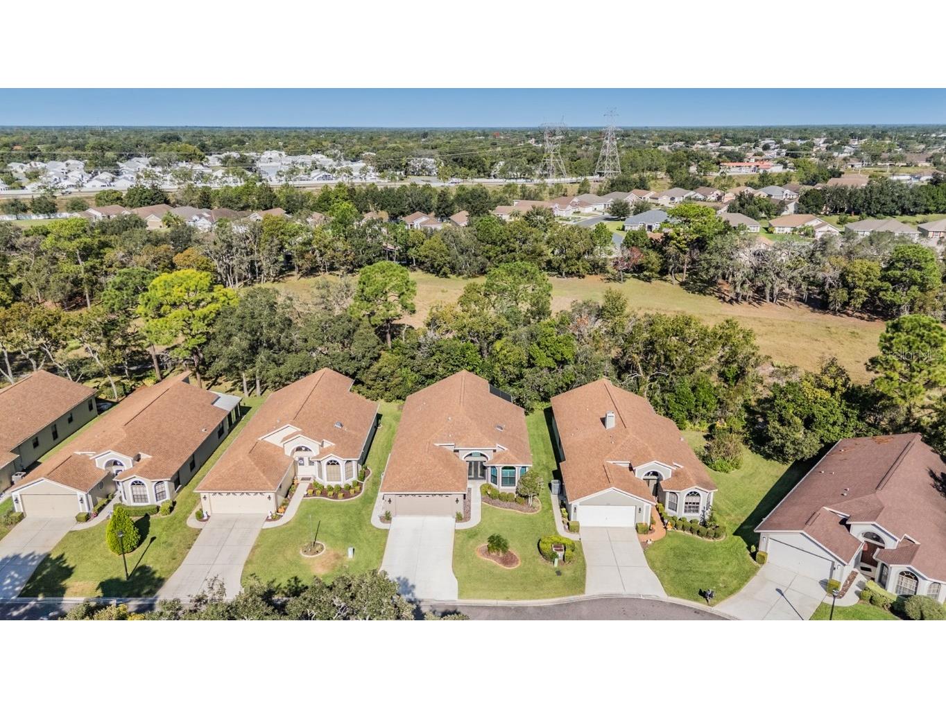 525 Bent Oak Court Spring Hill FL 34609 TB8440840 image55