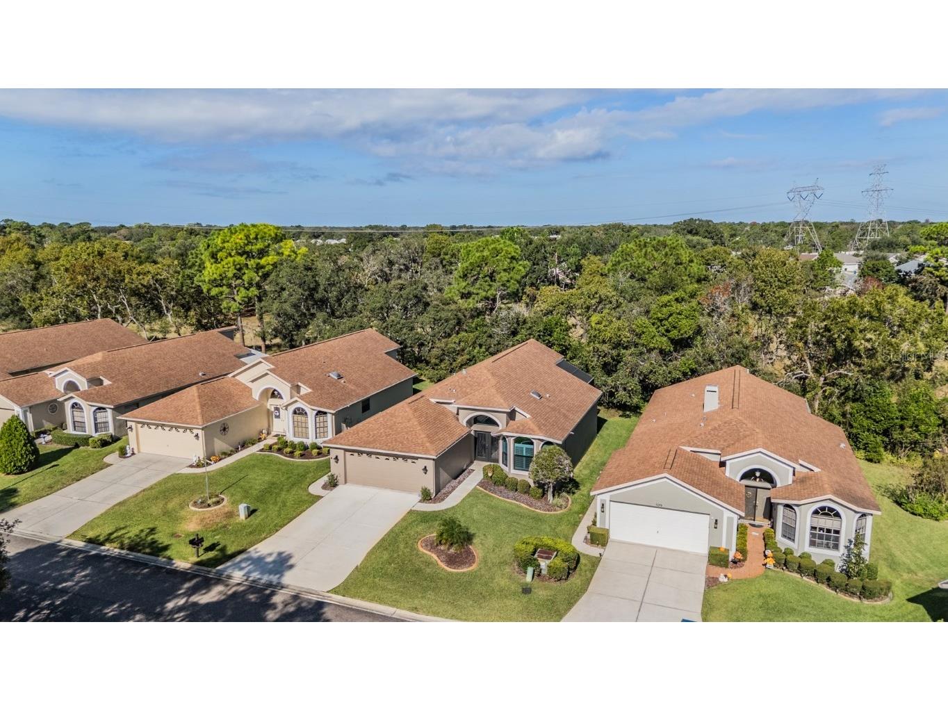 525 Bent Oak Court Spring Hill FL 34609 TB8440840 image57