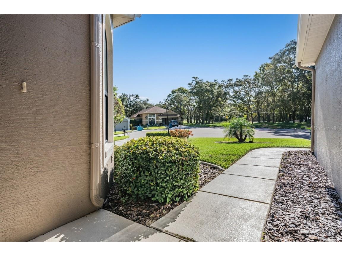 525 Bent Oak Court Spring Hill FL 34609 TB8440840 image7