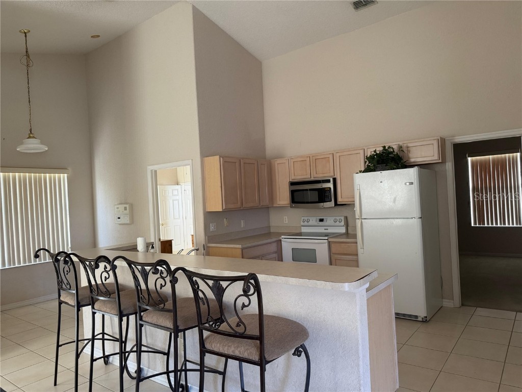 525 Corvina Drive Davenport FL 33897 O6333131 image5