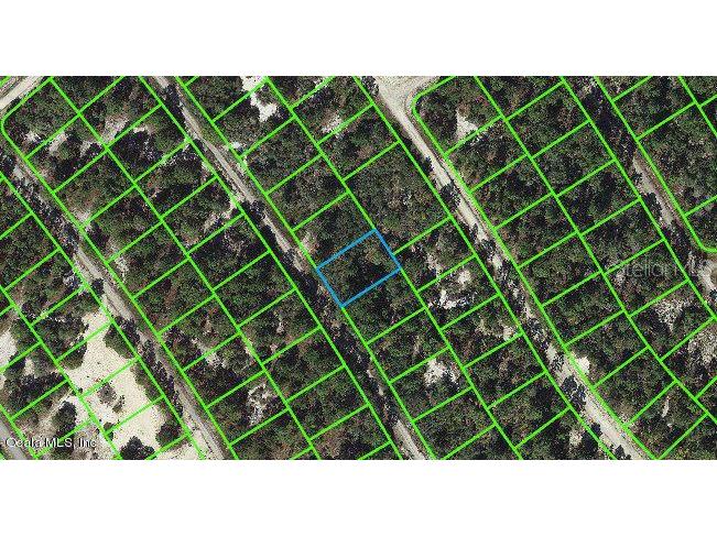 525 Dreamland Drive Lake Placid FL 33852 OM542102 image1