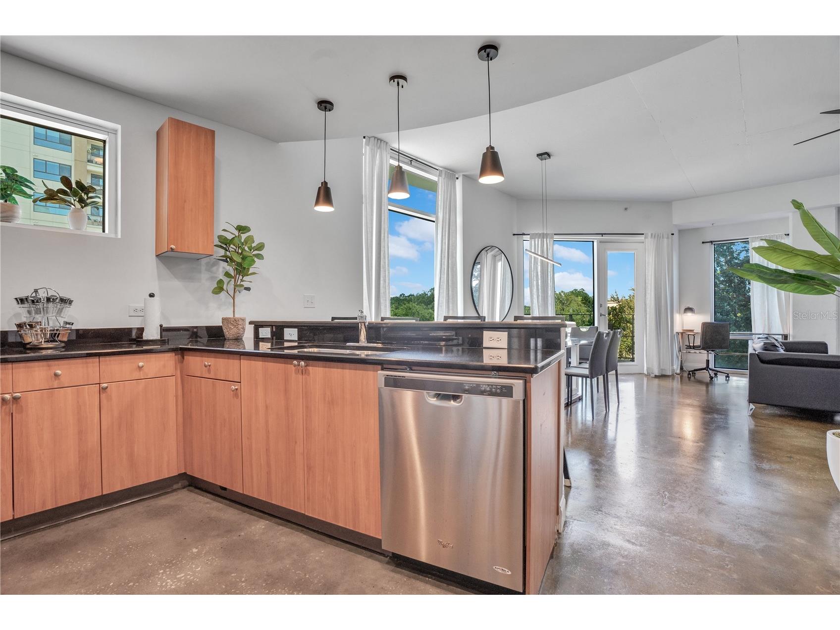 525 E Jackson Street #301 Orlando FL 32801 O6392851 image34