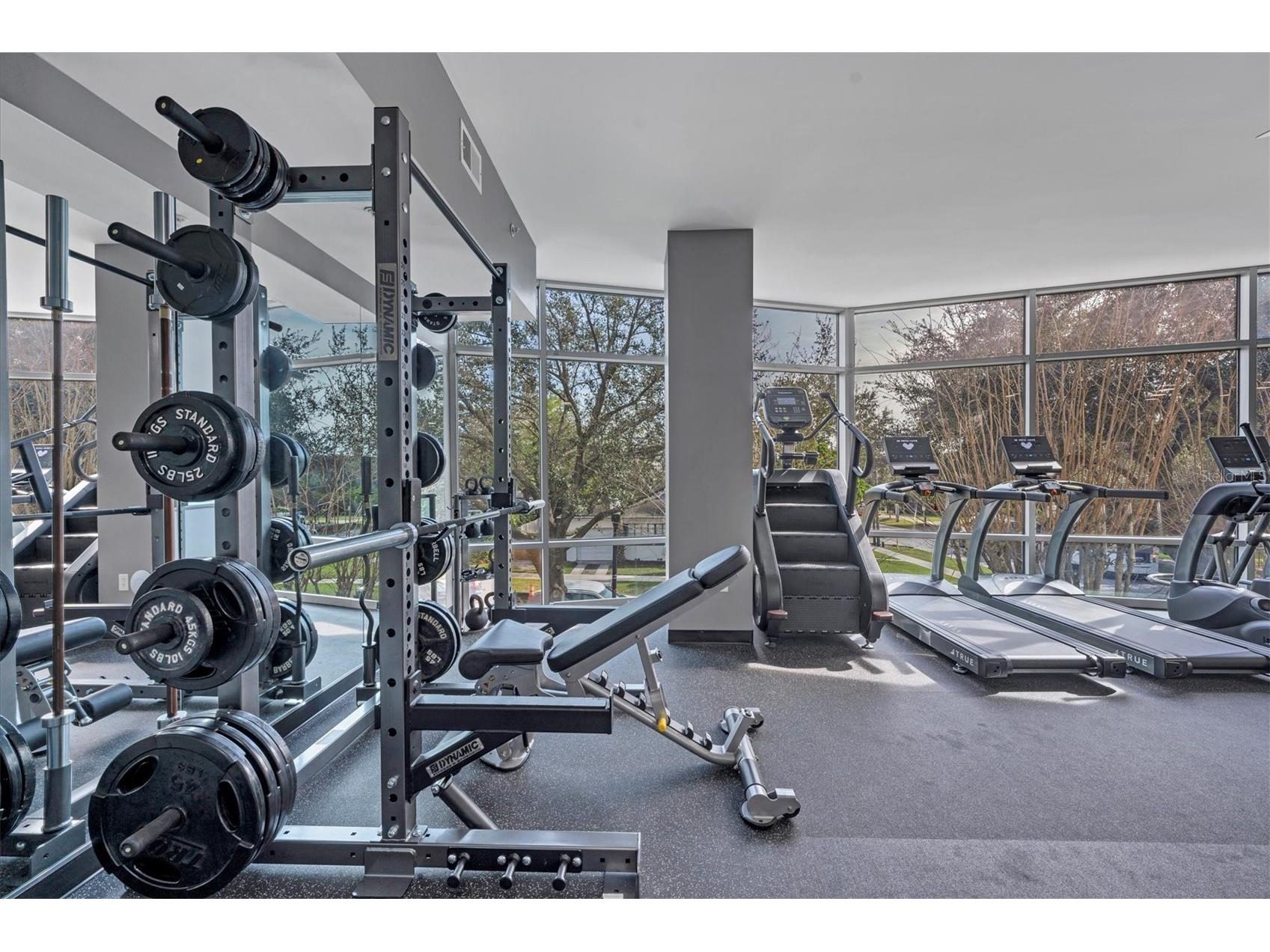 525 E Jackson Street #305 Orlando FL 32801 O6403006 image39