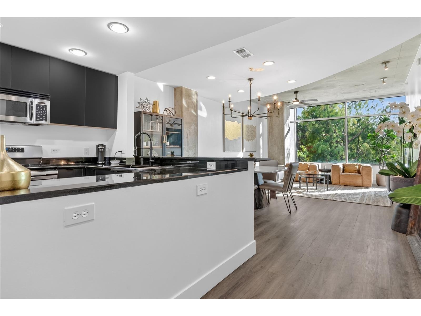 525 E Jackson Street #403 Orlando FL 32801 O6413162 image13