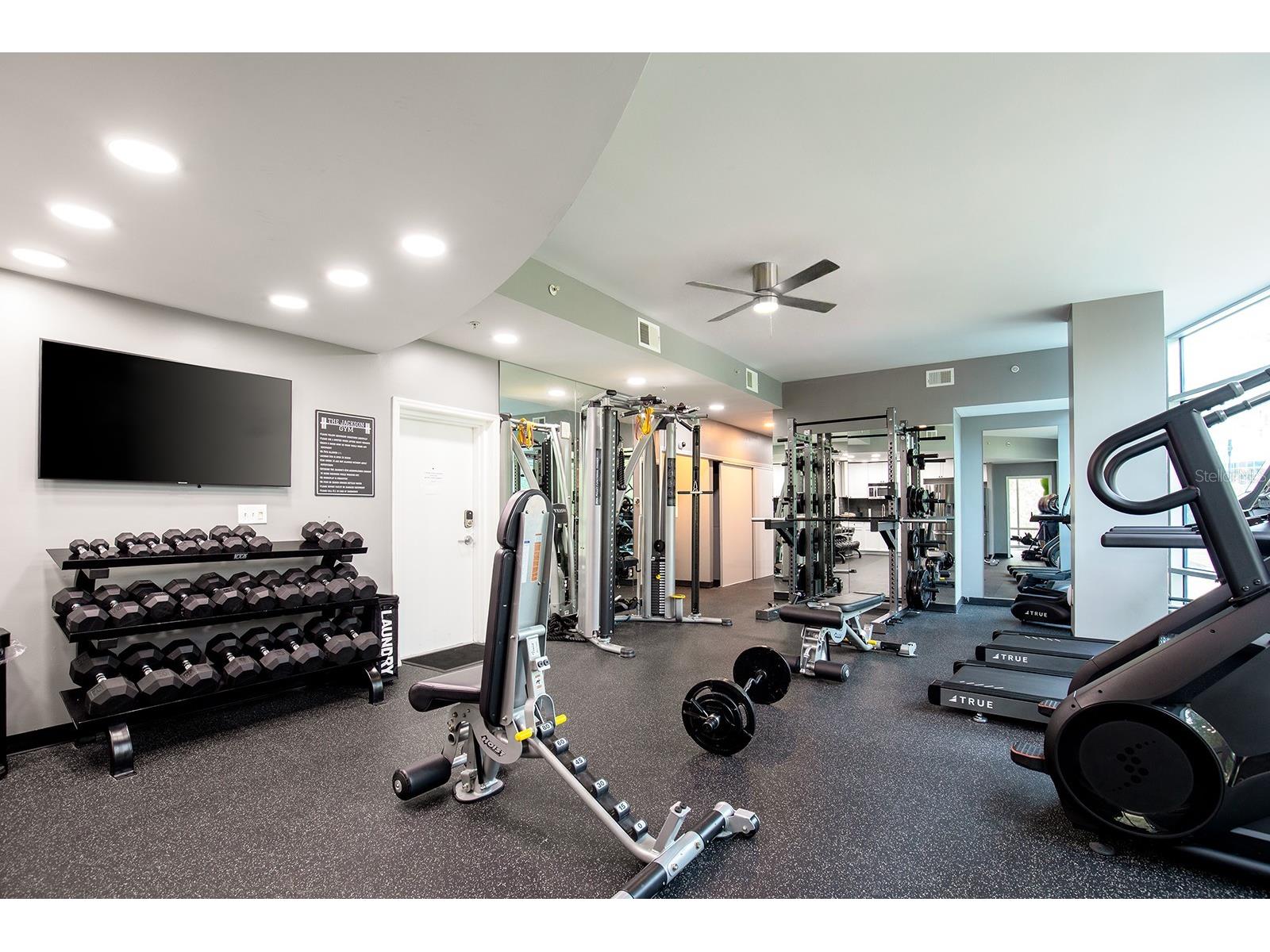 525 E Jackson Street #507 Orlando FL 32801 O6408023 image22