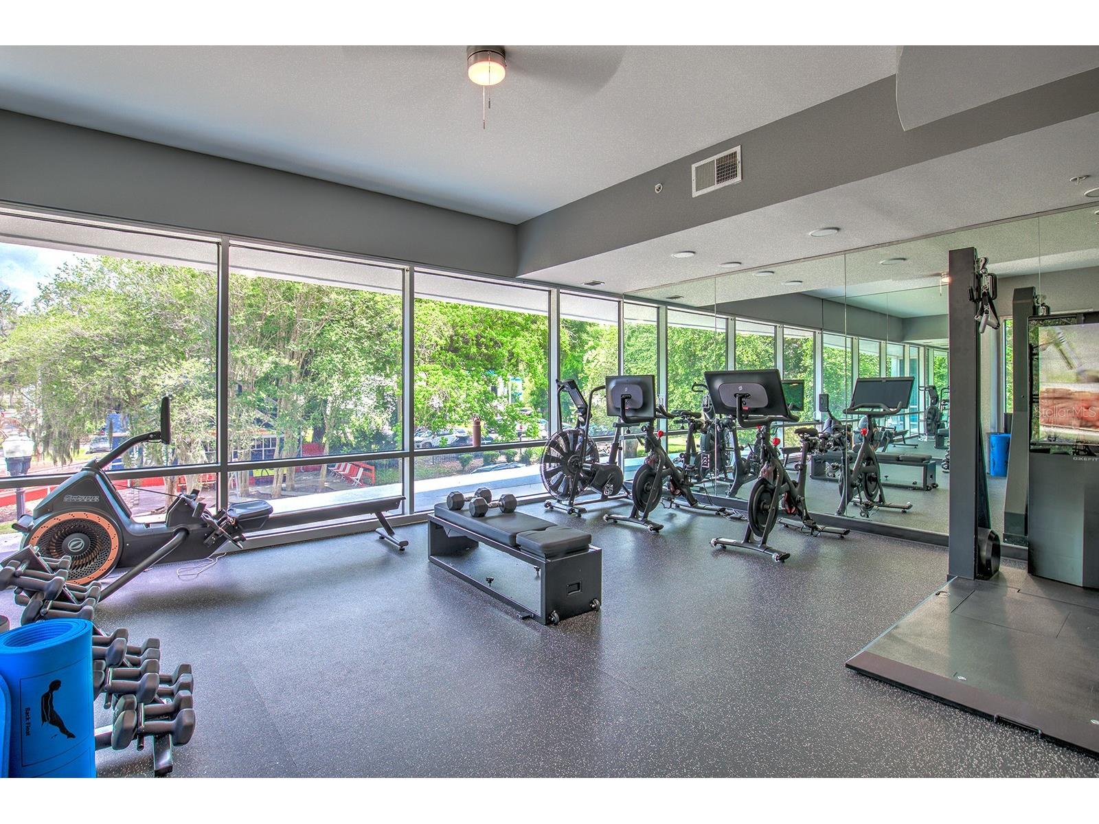 525 E Jackson Street #507 Orlando FL 32801 O6408023 image23