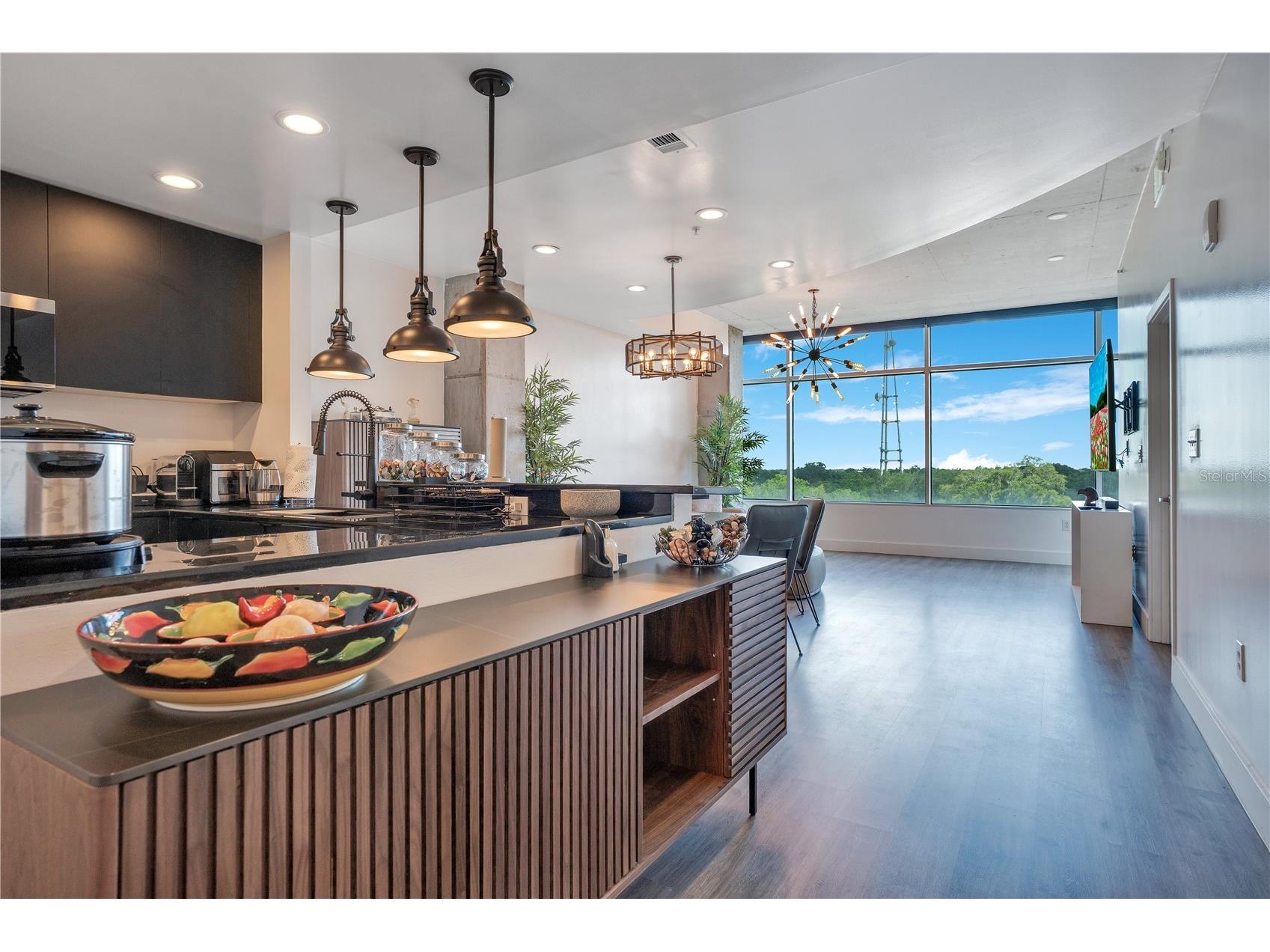 525 E Jackson Street #604 Orlando FL 32801 O6413195 image11
