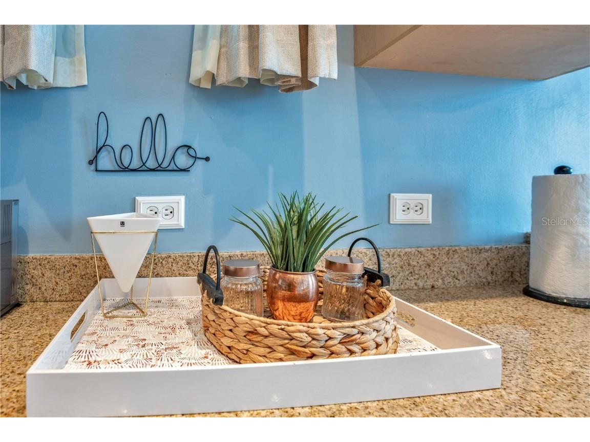 525 E Jackson Street #P Orlando FL 32801 O6363336 image15