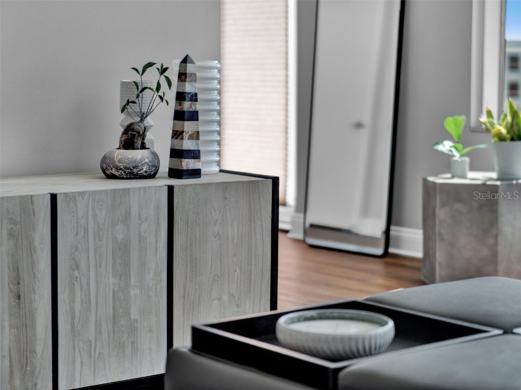 525 E Jackson Street #P Orlando FL 32801 O6363351 image36