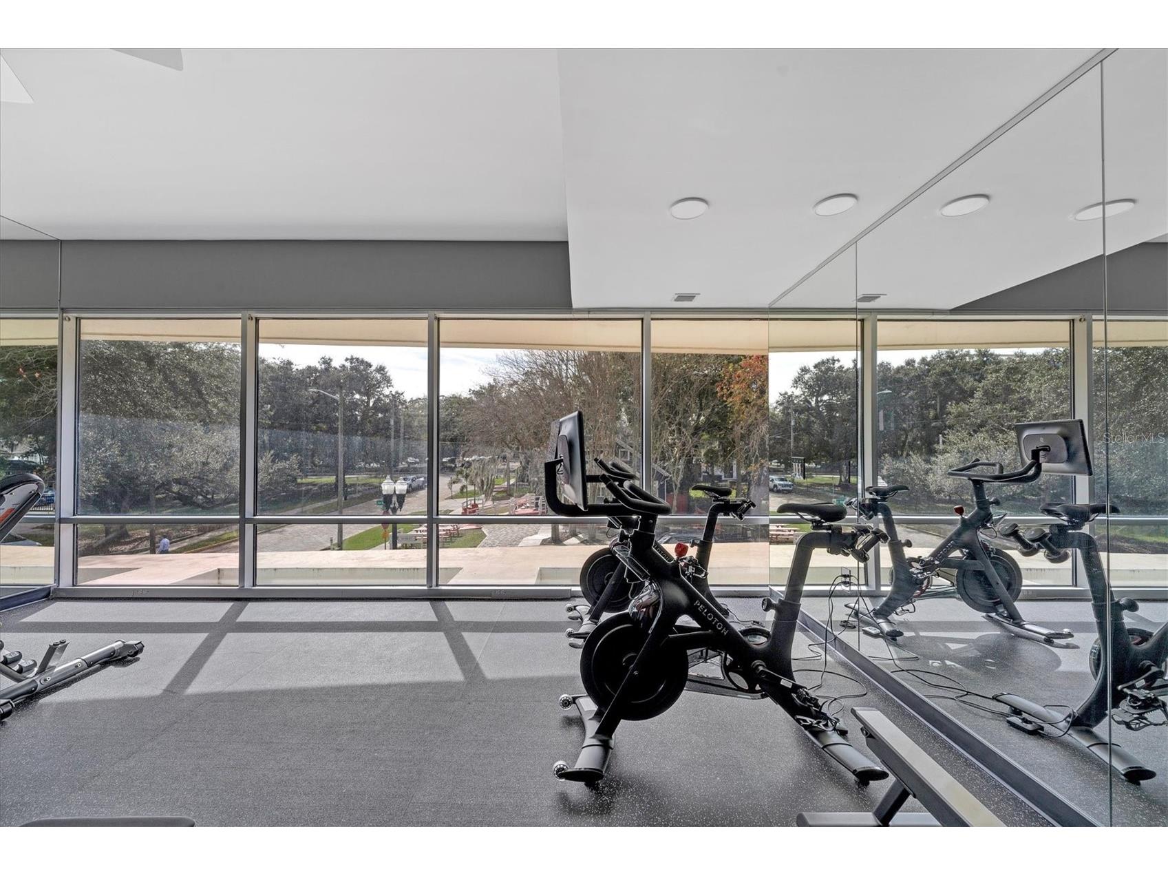 525 E Jackson Street #P3 Orlando FL 32801 O6363351 image41