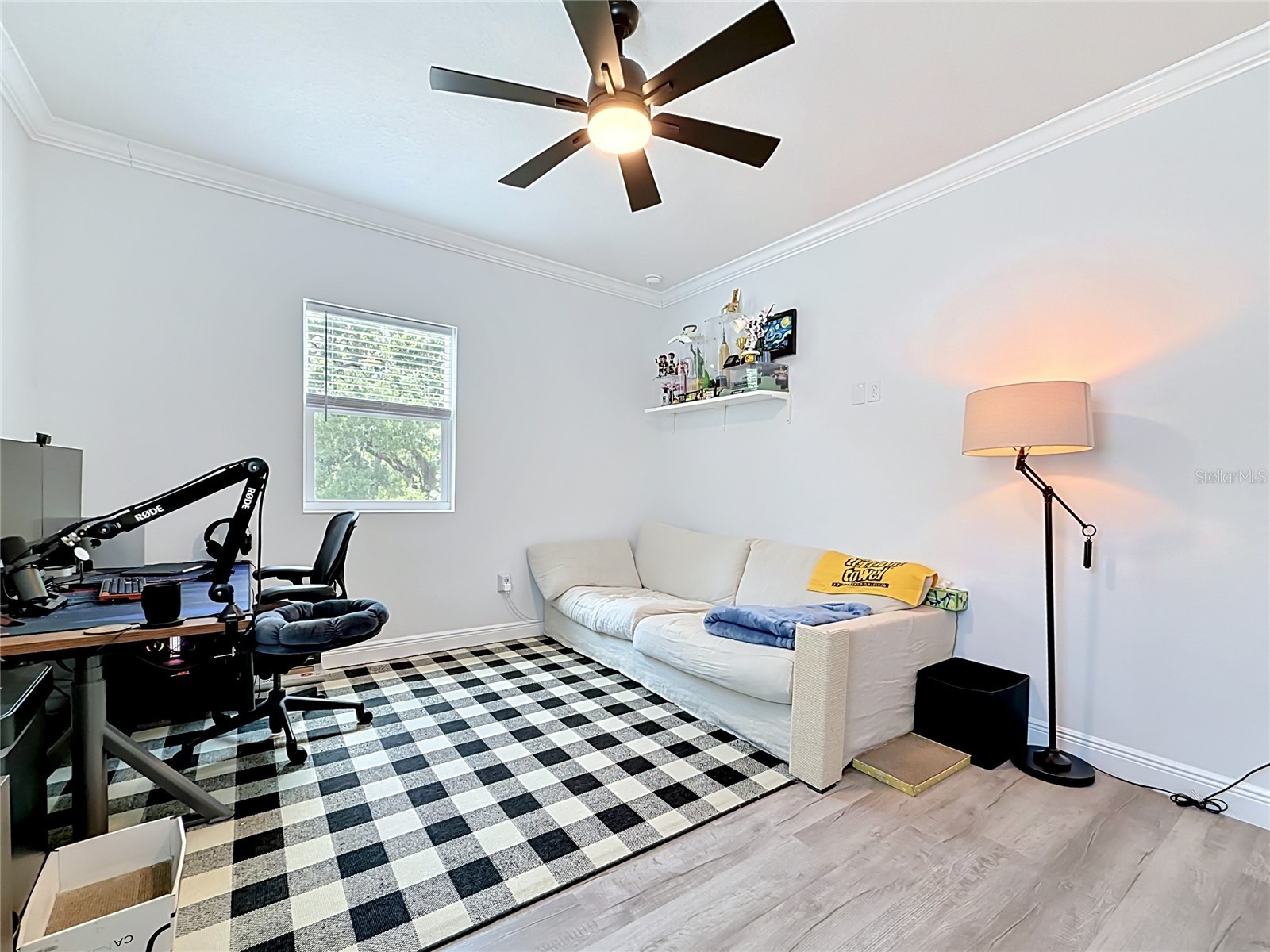 525 Elm Street Safety Harbor FL 34695 L4962266 image25