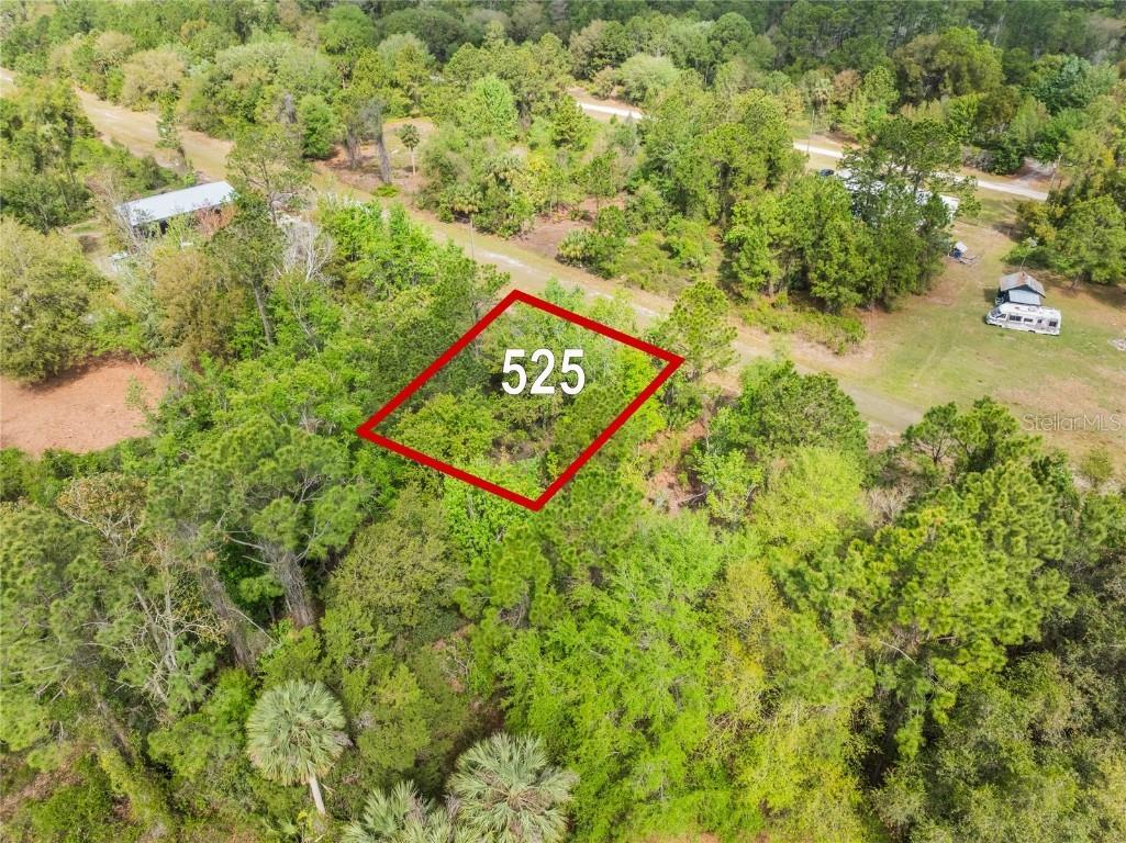 525 Gardenia Avenue Georgetown FL 32139 - Lake George O6214139 image1