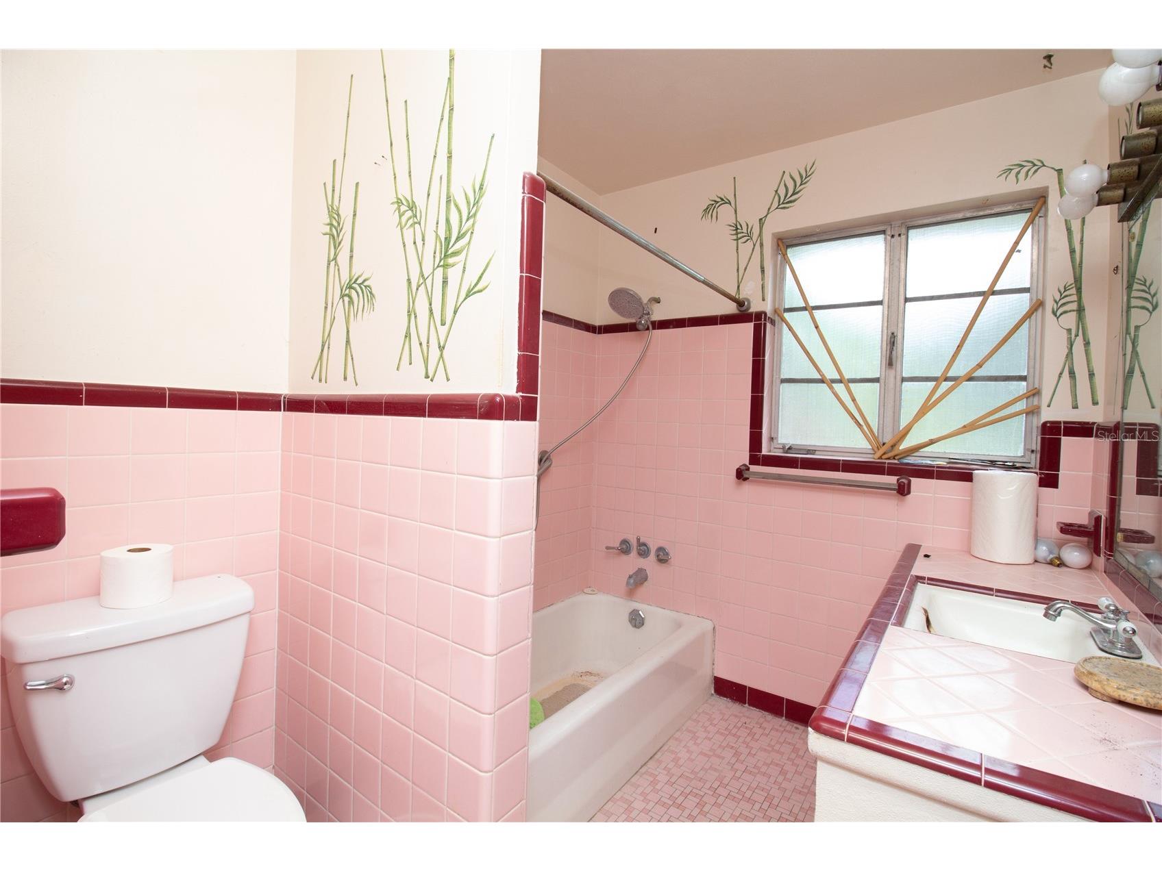 525 Hampton Avenue NE Saint Petersburg FL 33703 TB8525645 image10