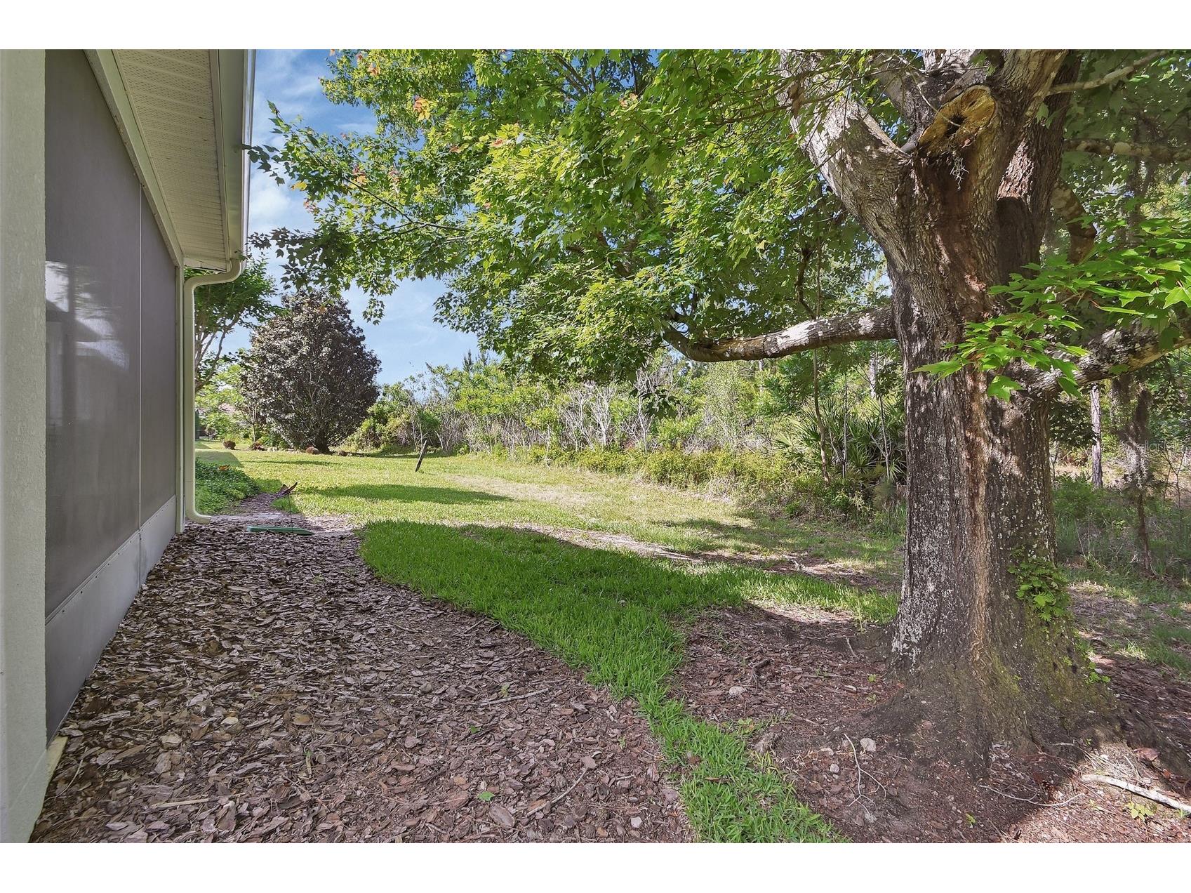 525 Heron Point Way Deland FL 32724 NS1088067 image35