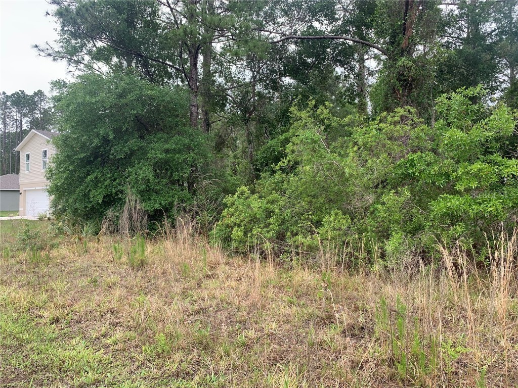 525 Live Oak Loop Crescent City FL 32112 V4942692 image5