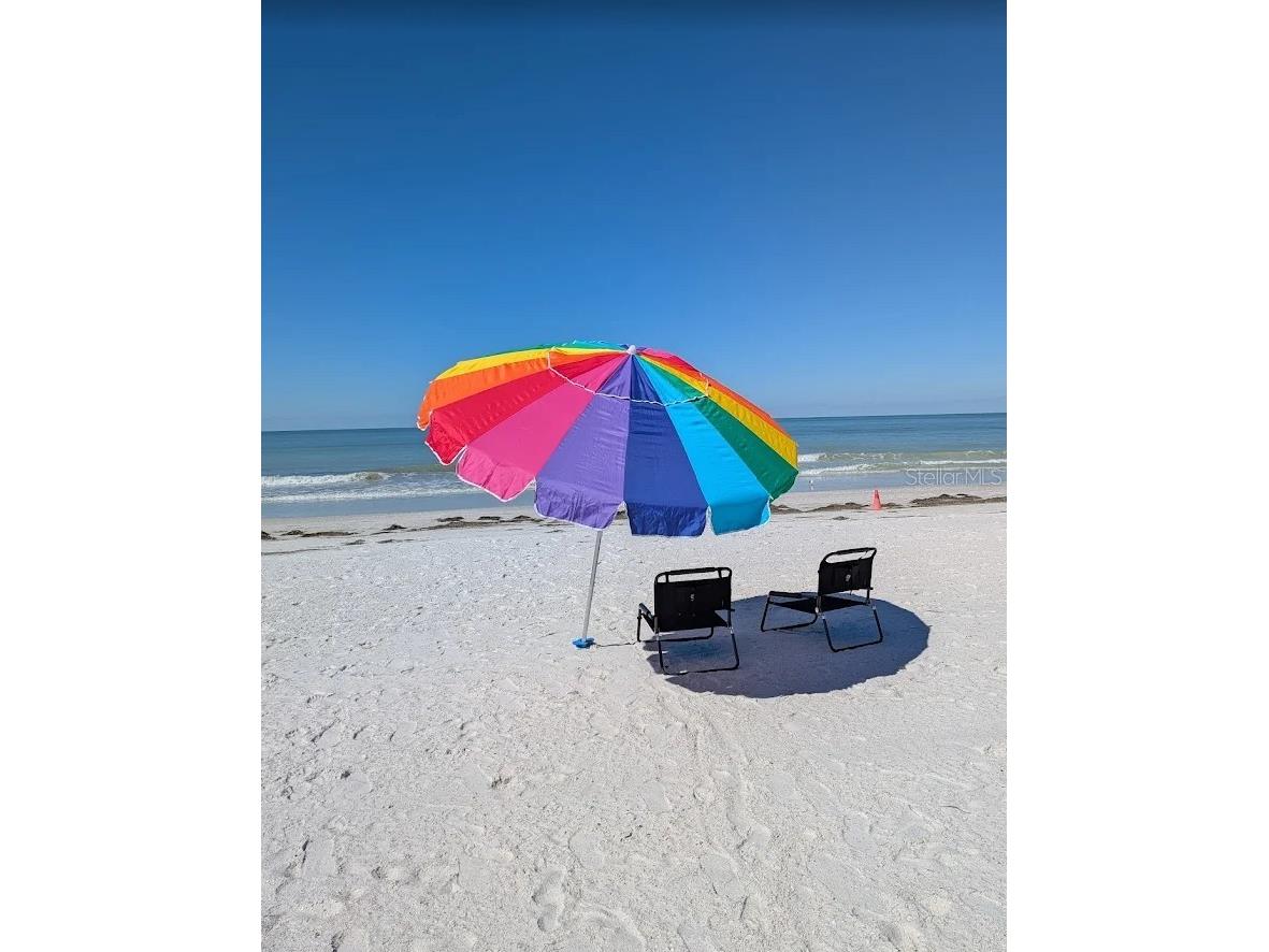 525 Mandalay Avenue #11 Clearwater Beach FL 33767 TB8471058 image28