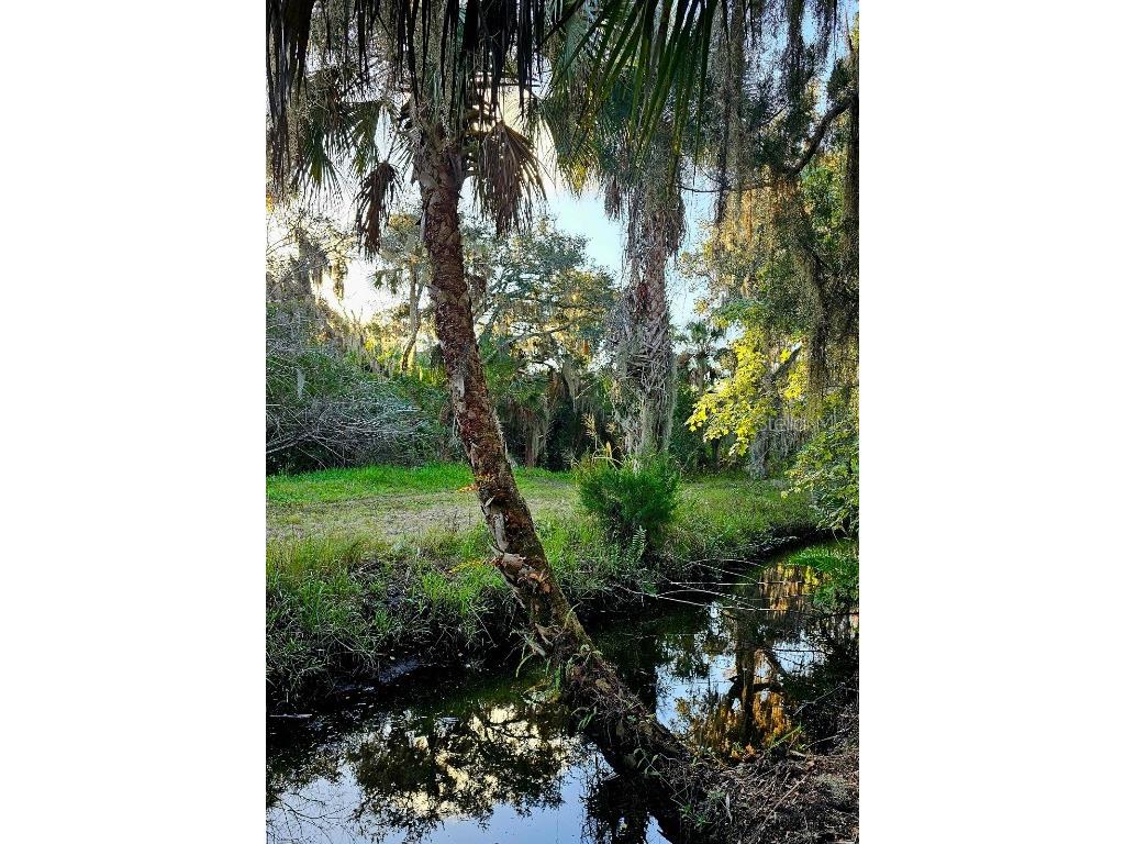 525 Mill Run Drive New Smyrna Beach FL 32168 NS1086764 image17