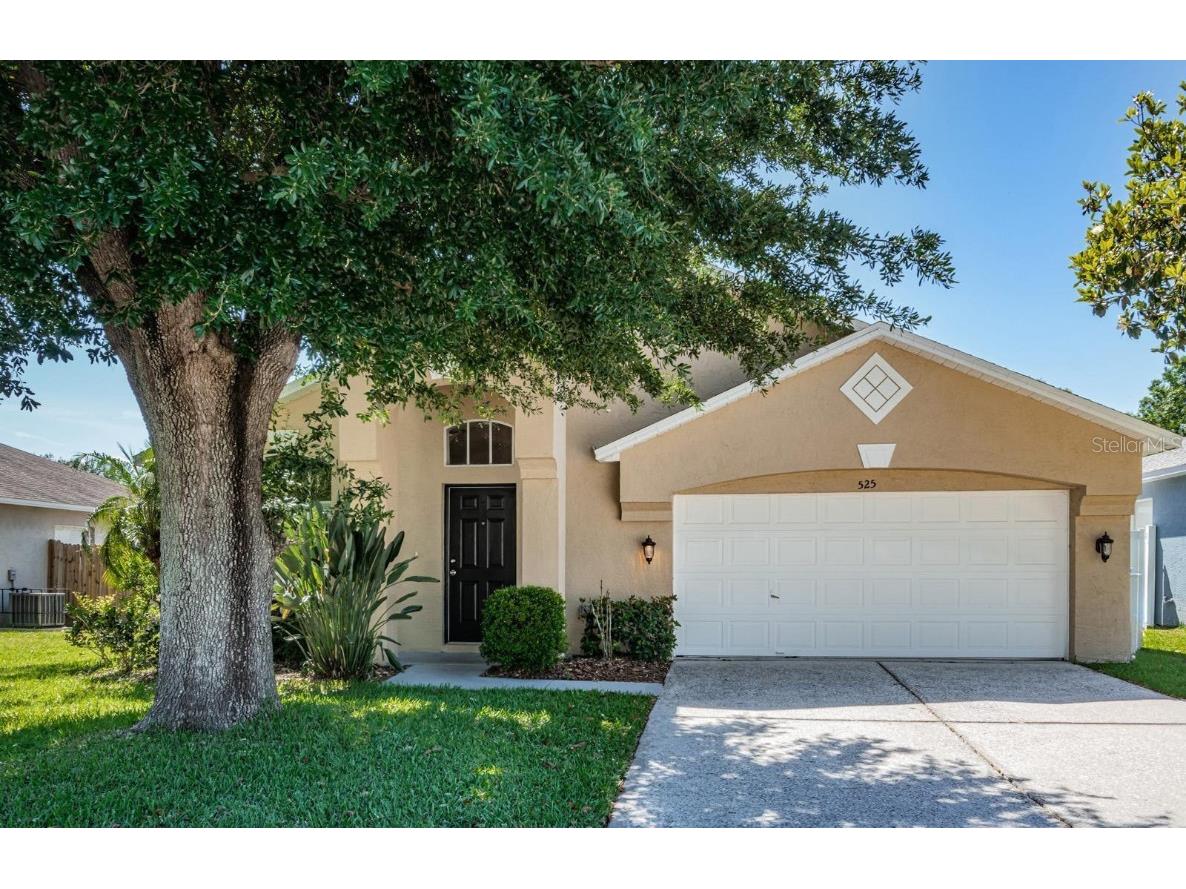 525 Napa Valley Circle Valrico FL 33594 T3522467 image1