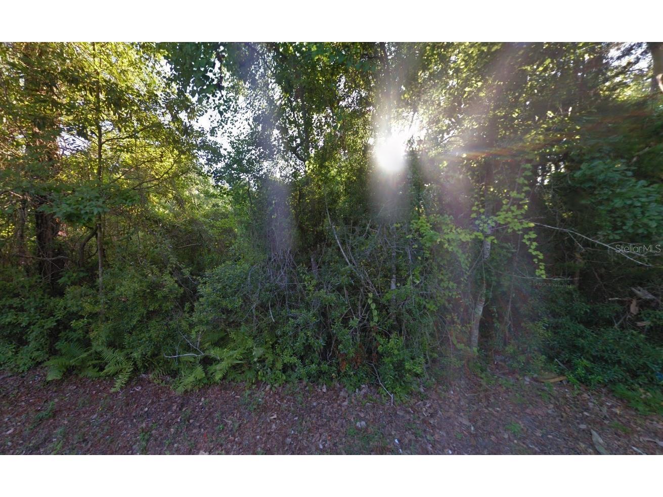 525 Sanders Lane Panama City FL 32401 A4697589 image2