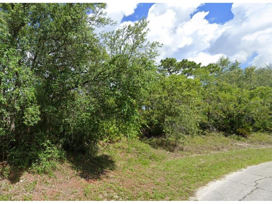 525 St Johns Court Kissimmee FL 34759 B4901563 image3