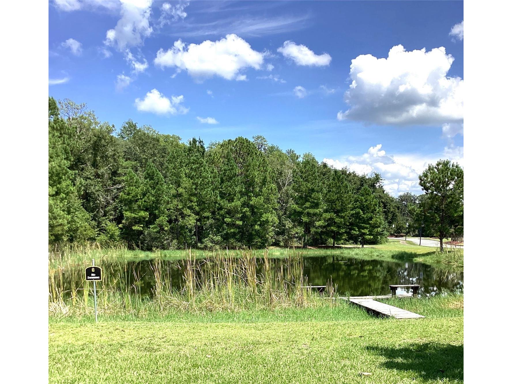 525 SW Bellflower Drive Lake City FL 32024 GC536730 image24