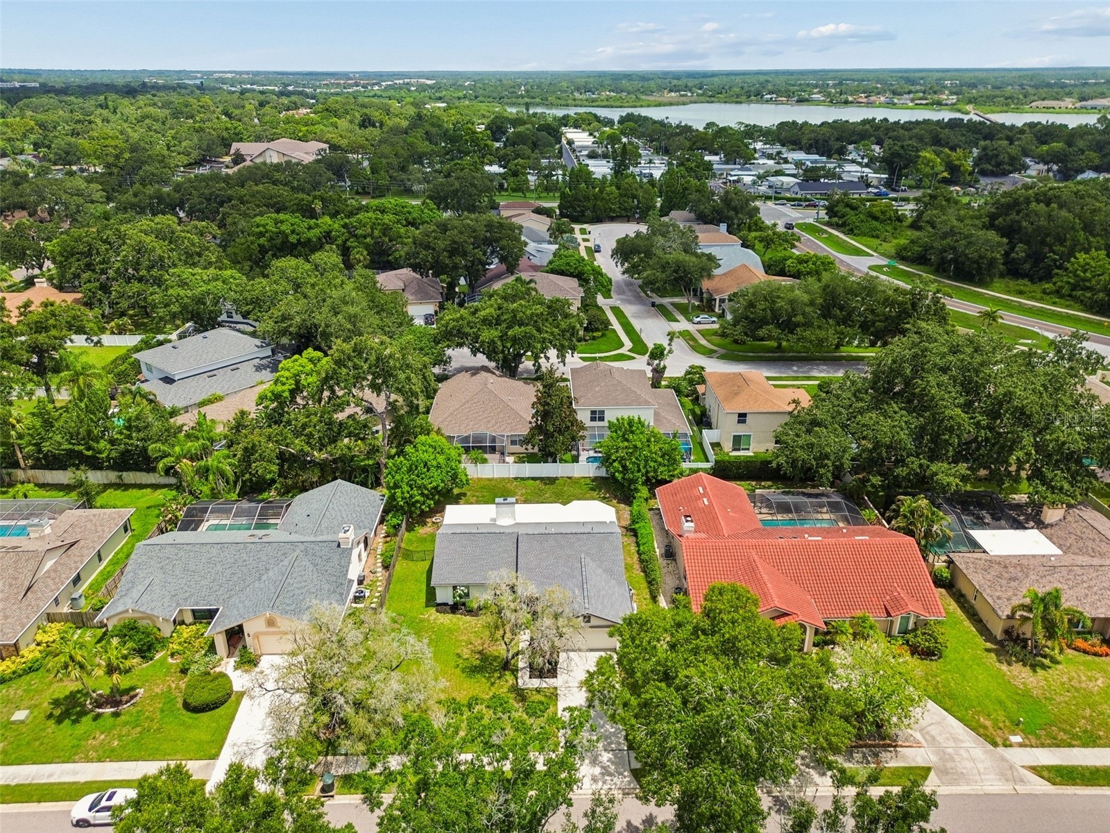 525 Walker Road Safety Harbor FL 34695 TB8529306 image67