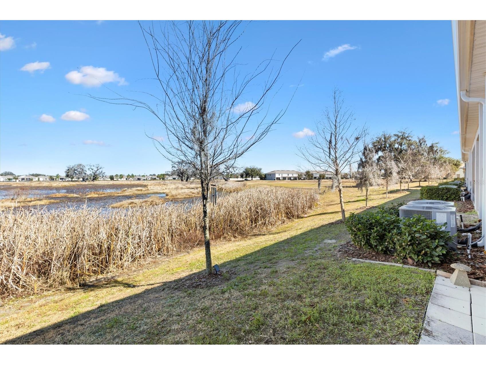 5250 Dragonfly Drive Wildwood FL 34785 G5107883 image4