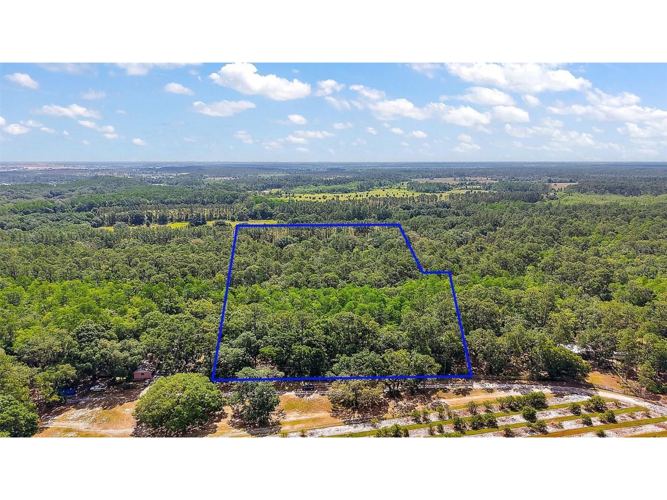 5250 Lake Nellie Road Clermont FL 34714 G5096698 image1