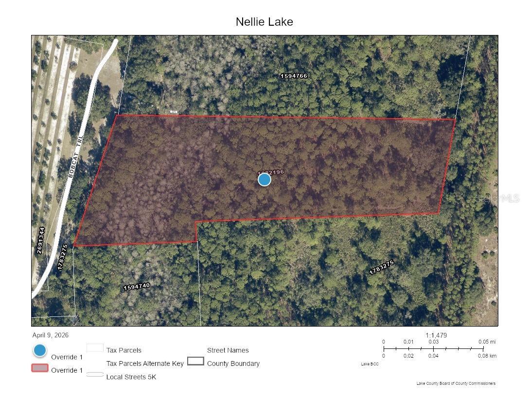 5250 Lake Nellie Road Clermont FL 34714 L4960979 image1