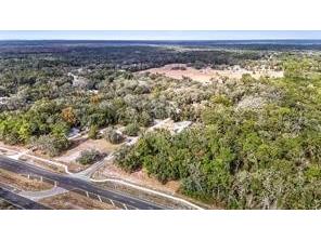 5250 Little Green Lane Dade City FL 33523 TB8446443 image46