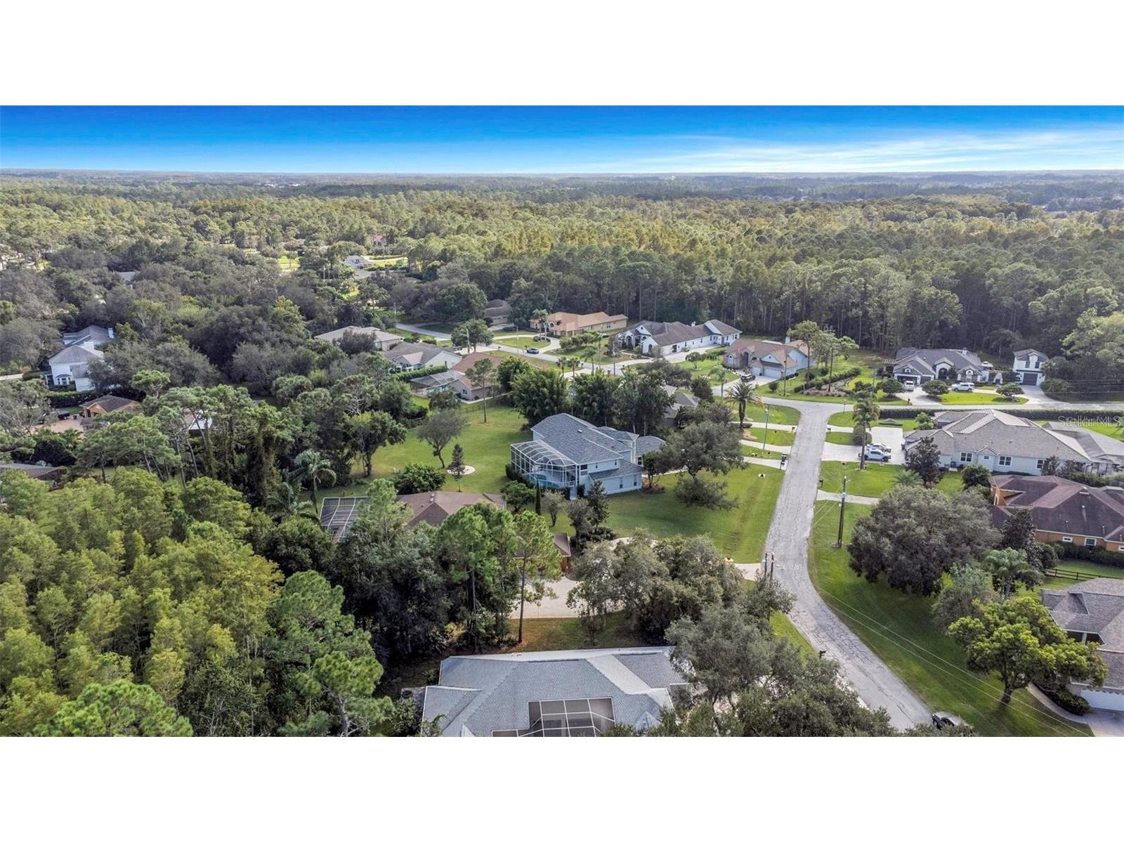 5250 Macoso Court New Port Richey FL 34655 W7884963 image10