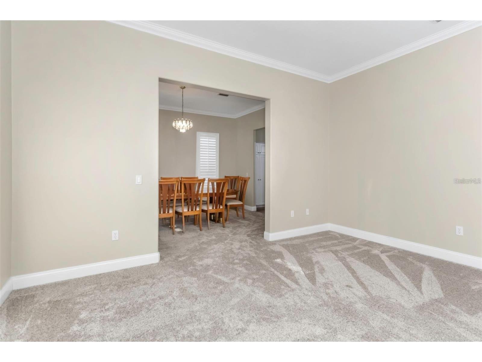 5250 Macoso Court New Port Richey FL 34655 W7884963 image36