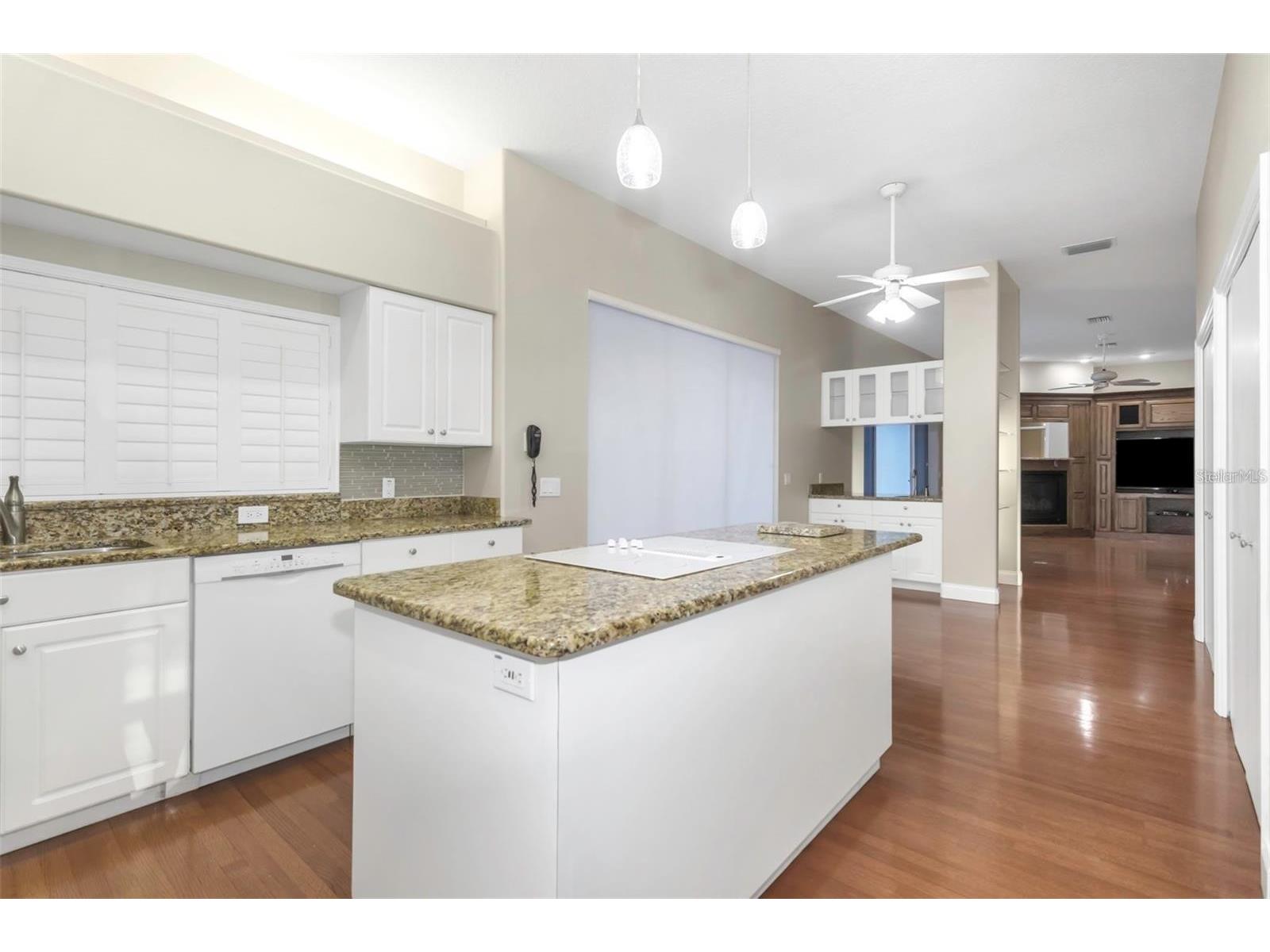 5250 Macoso Court New Port Richey FL 34655 W7884963 image40
