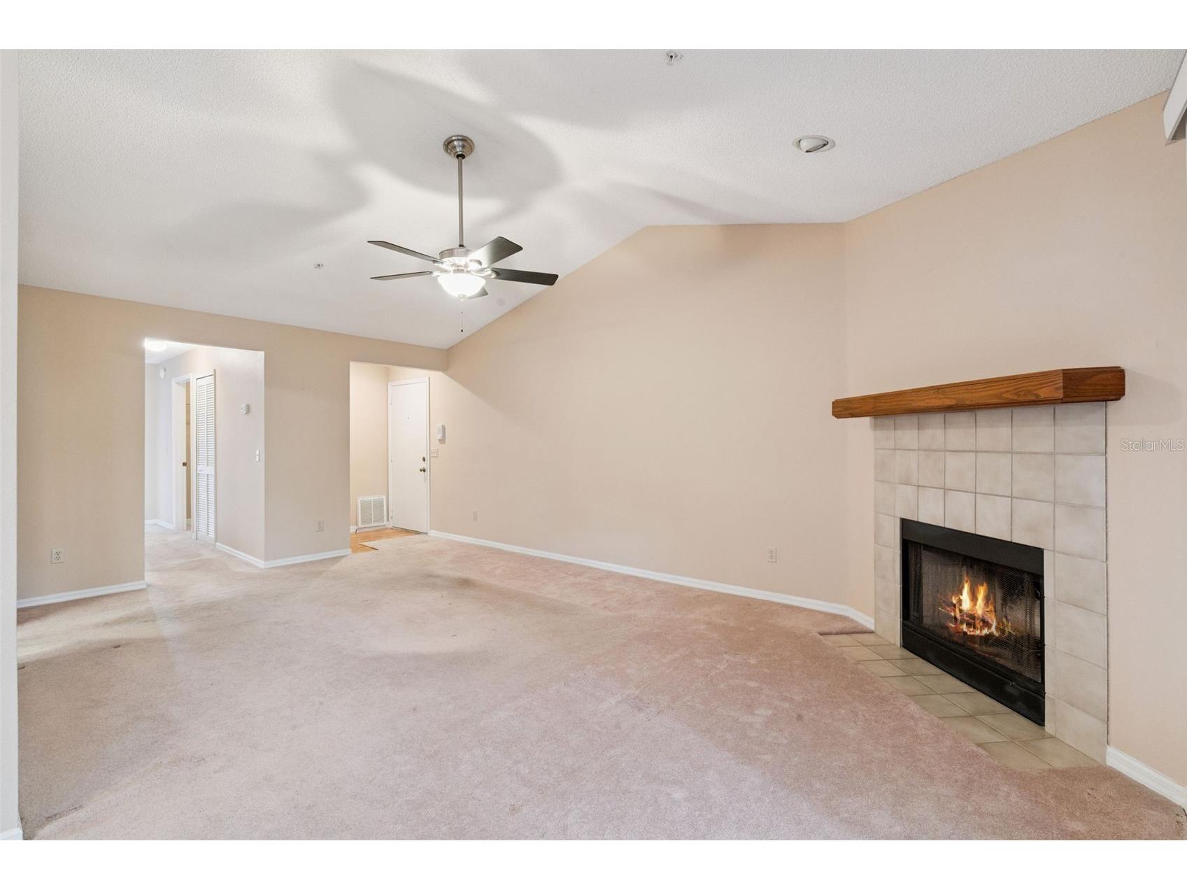 5250 Tunbridge Wells Lane #3 Orlando FL 32812 O6401368 image6